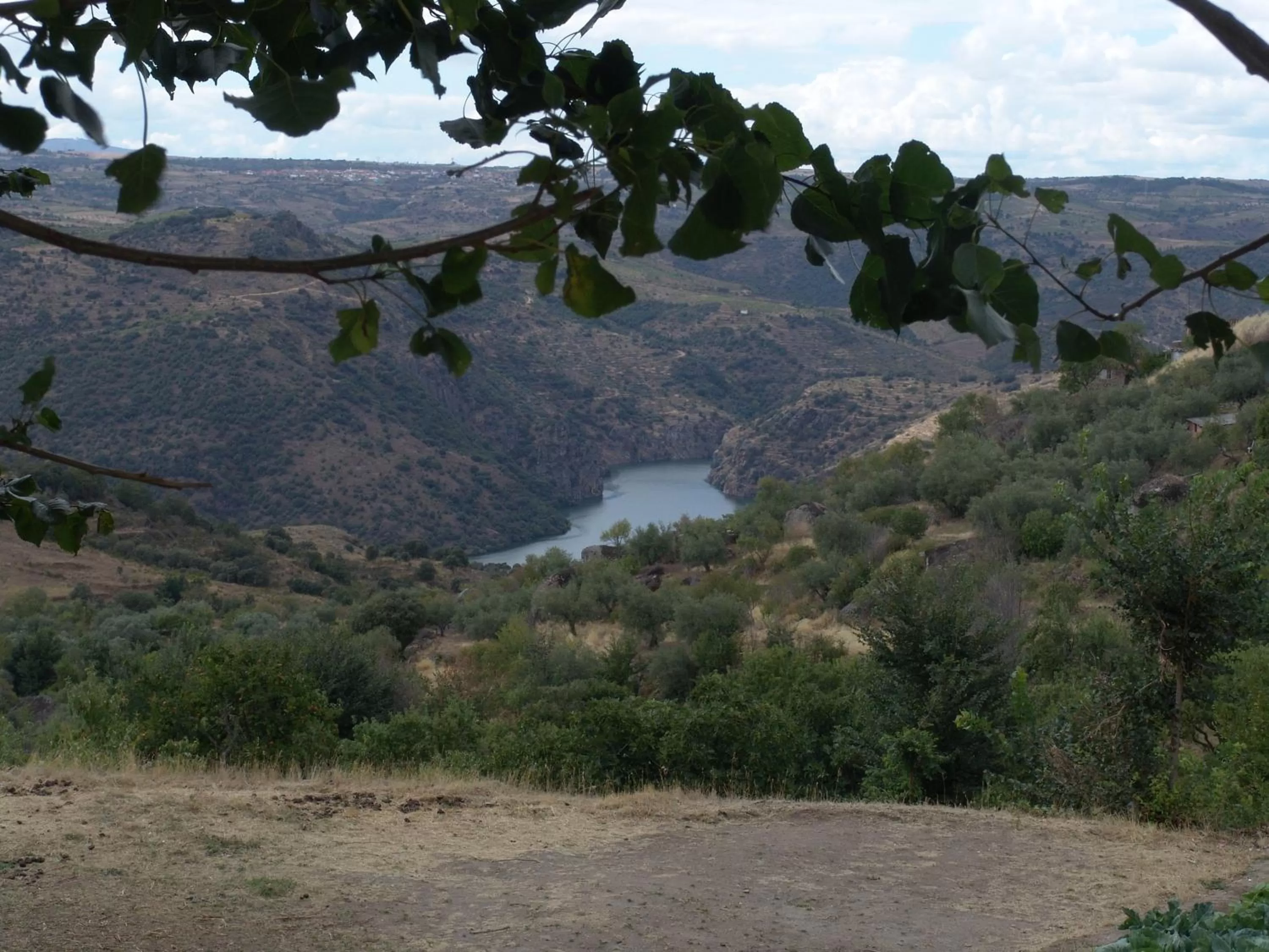 Nearby landmark in Hotel Rural La Enoteca del Marques