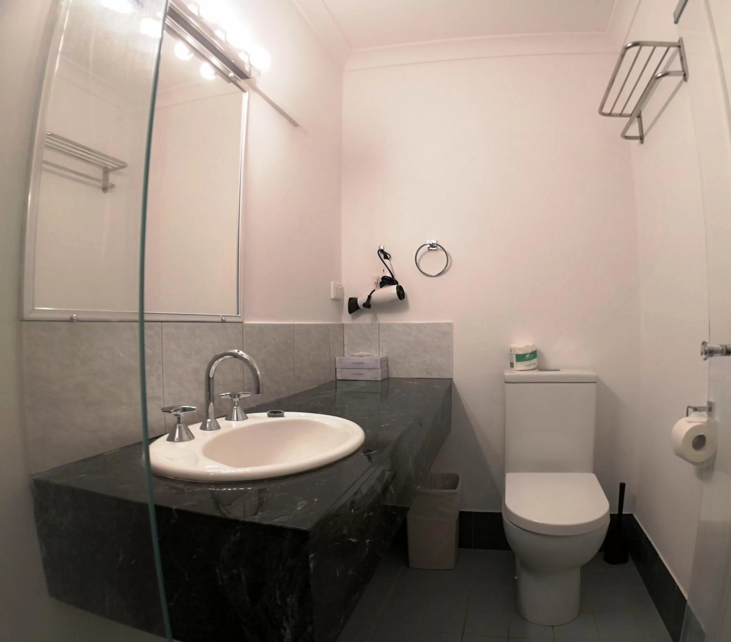 Toilet in Criterion Hotel Perth