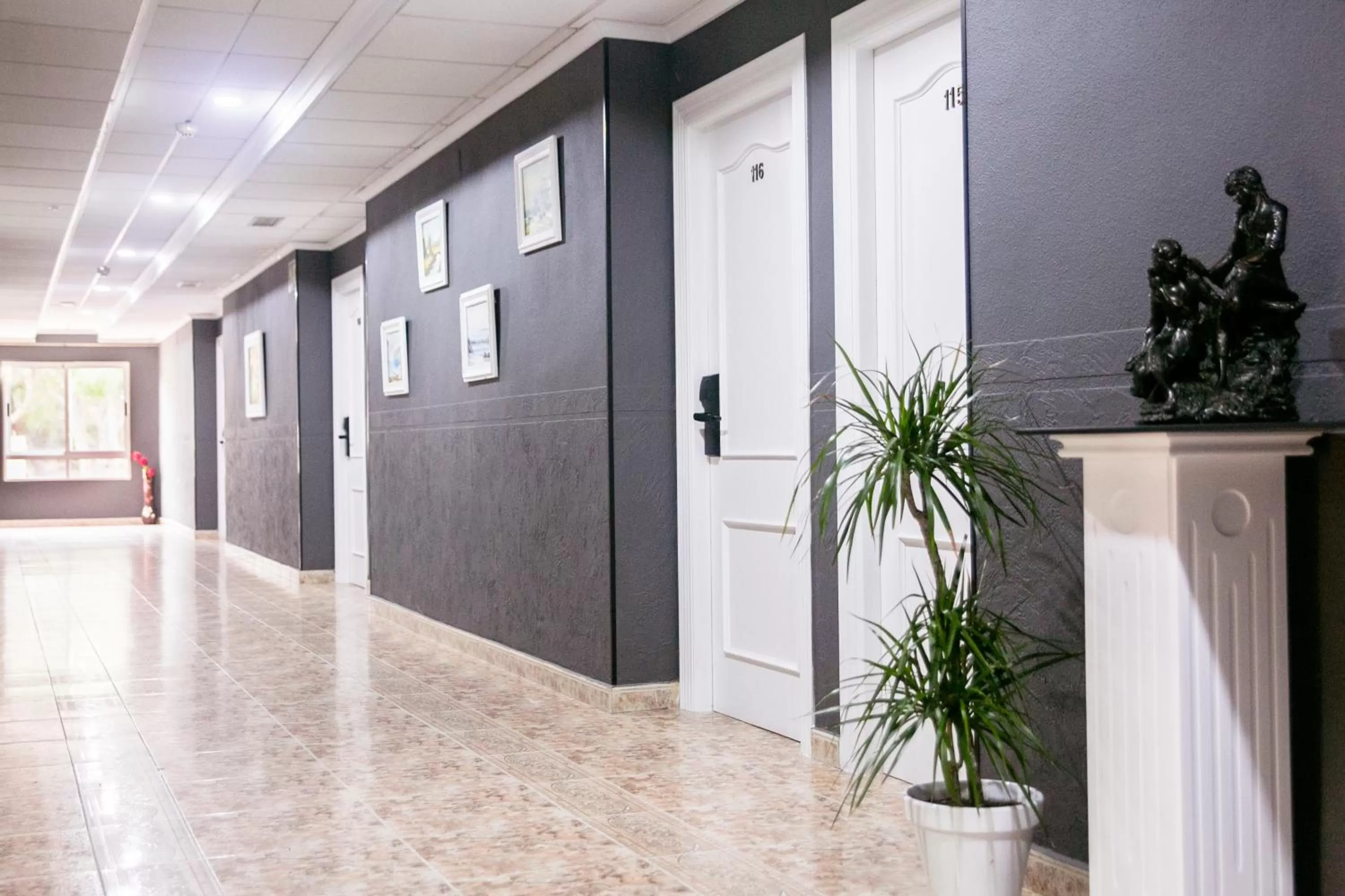 Patio in Hotel ParqueMar