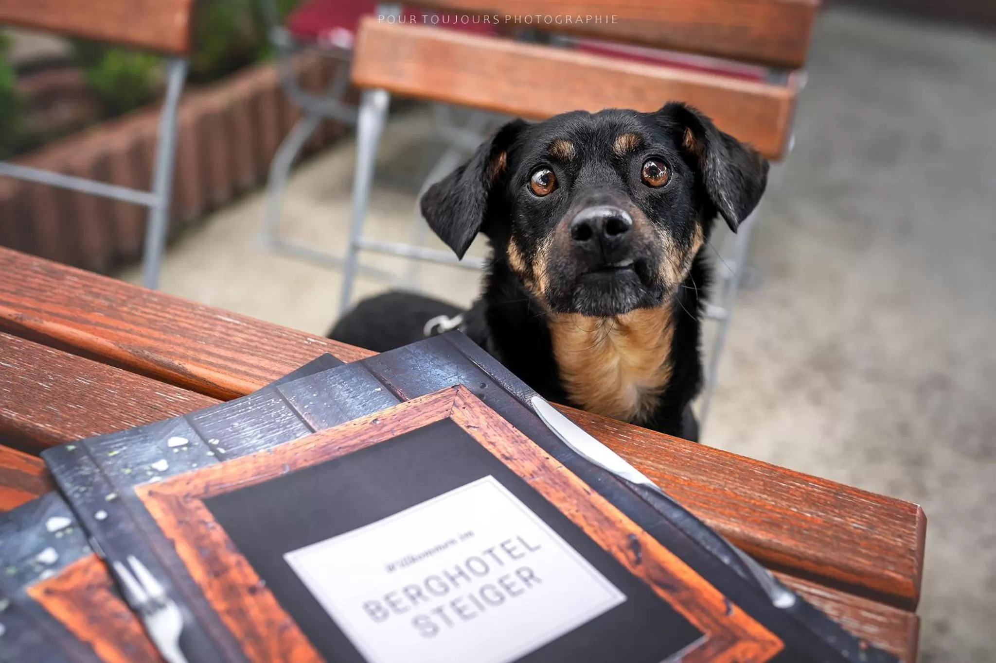 Berghotel Steiger - Erzgebirge