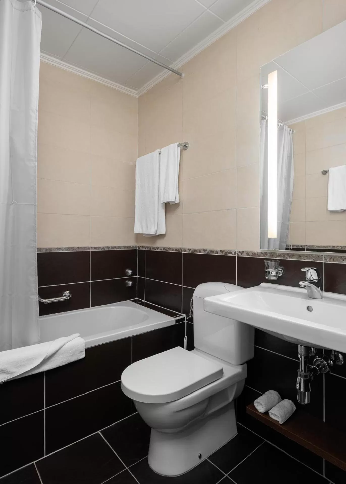 Bathroom in Hôtel des Alpes