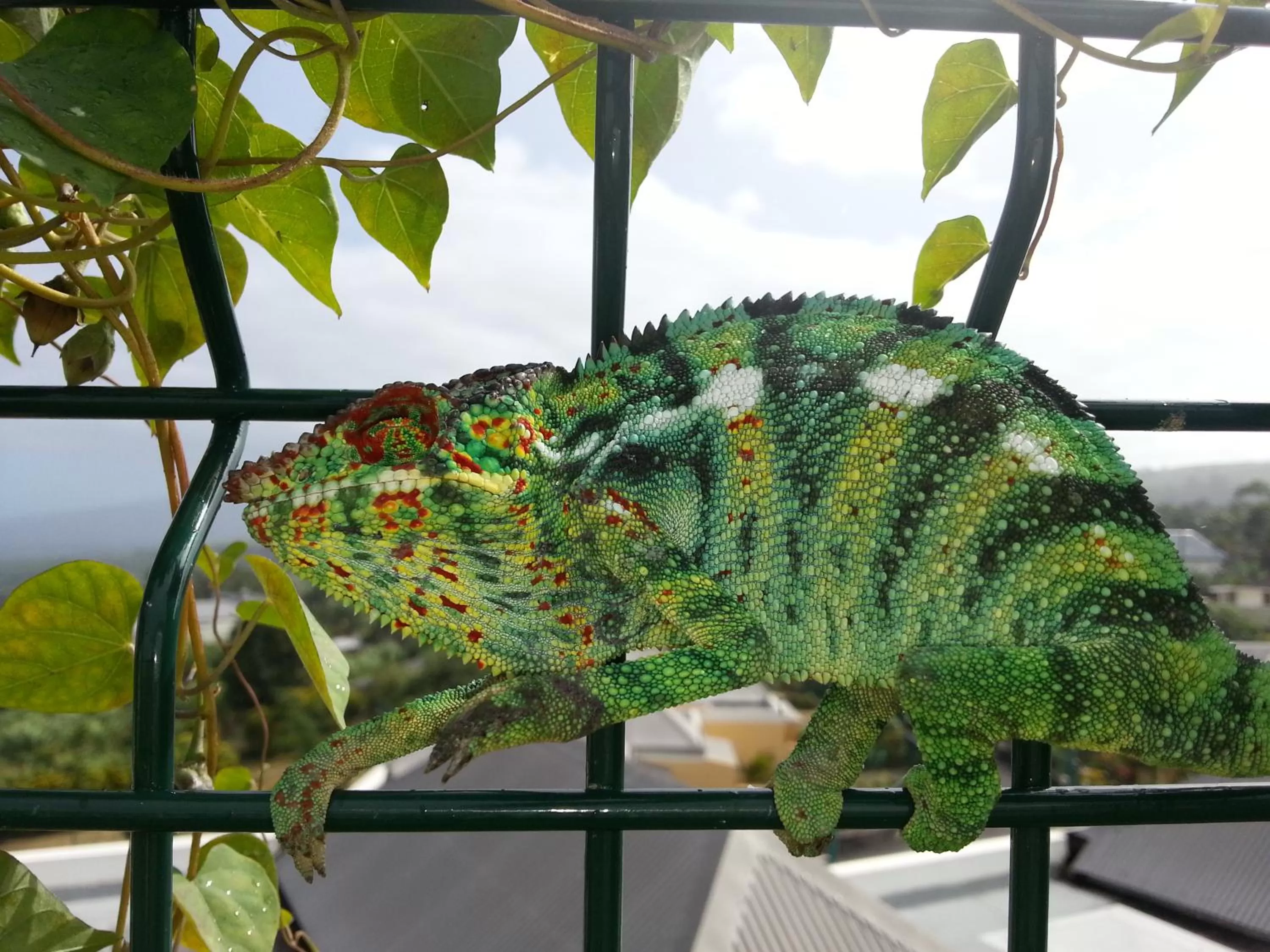 Other in Hôtel Le Soleil Couchant