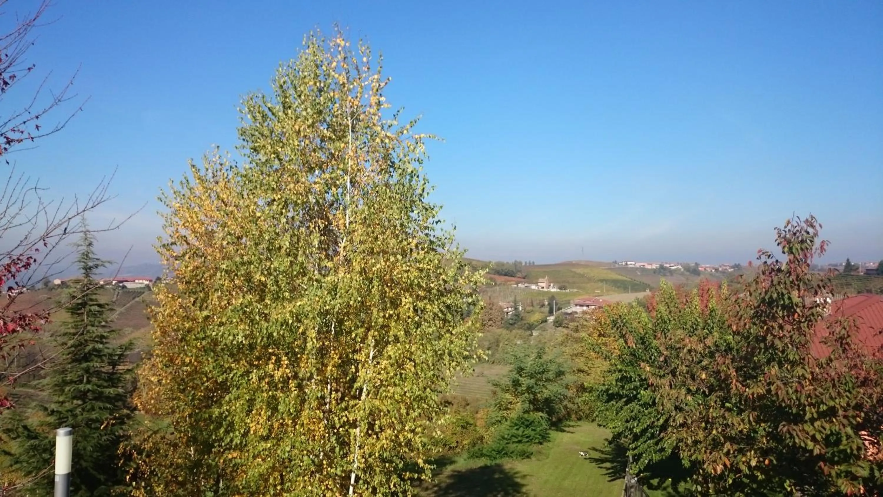 Day in Hotel Villa Lauri