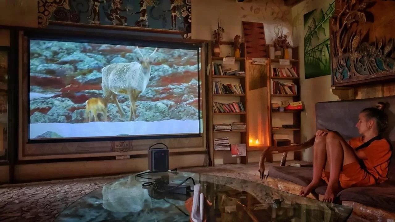 Communal lounge/ TV room in Utopia Eco Hotel