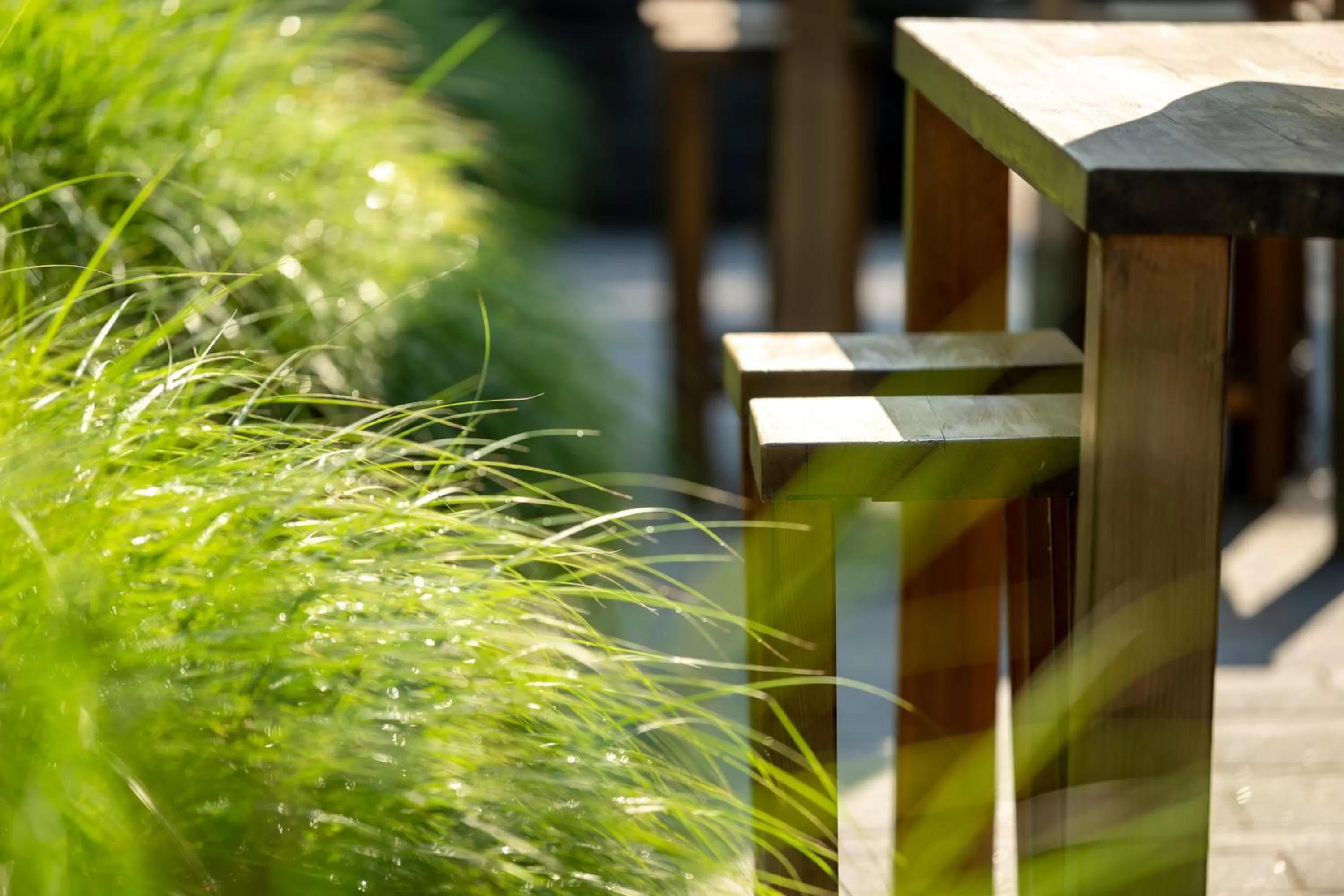 Balcony/Terrace in Köhlers Forsthaus Wellness & Genuss Hotel