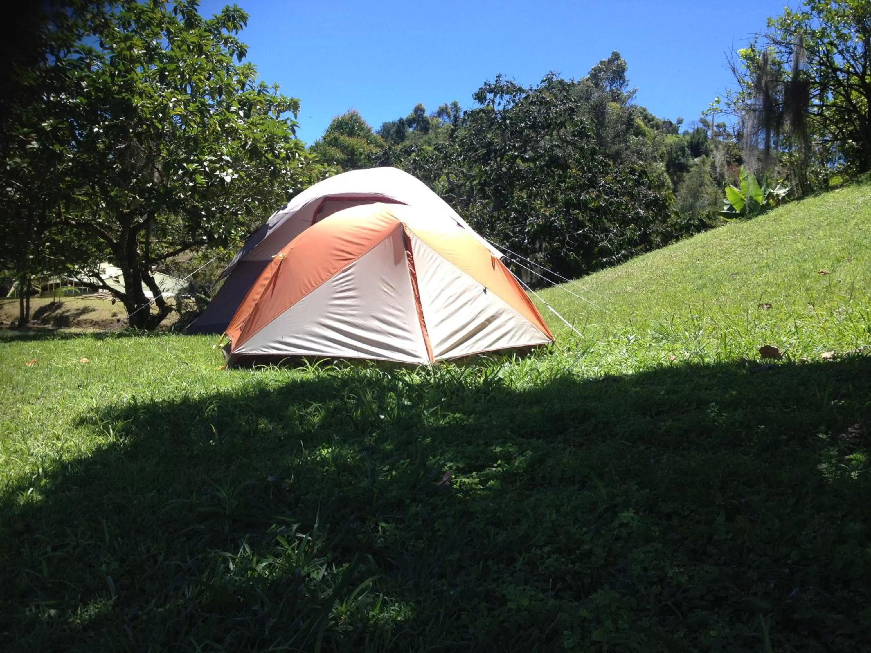 Photo of the whole room, Garden in Casa finca típica the lake hotel