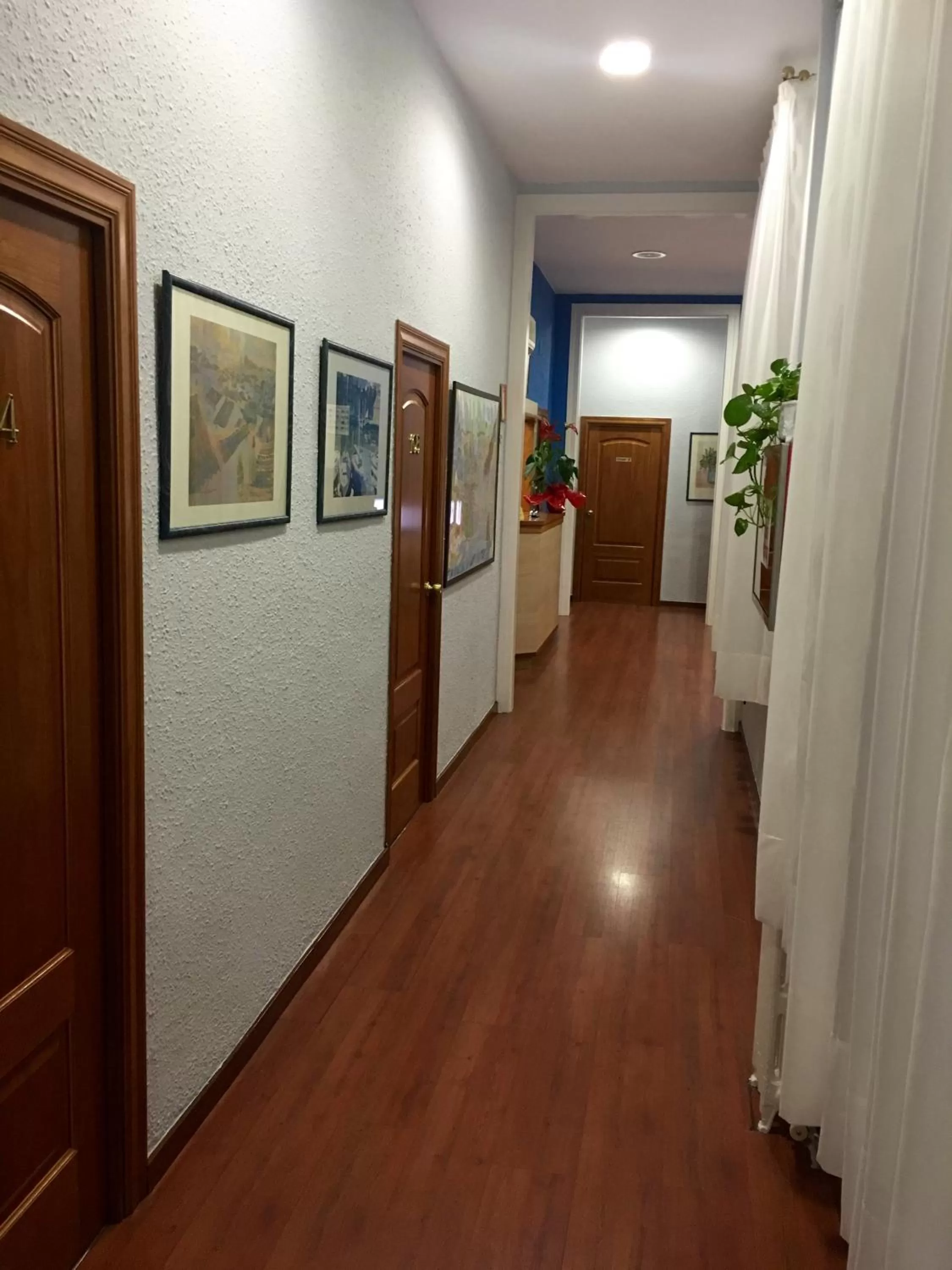 Area and facilities in Hotel Pelayo