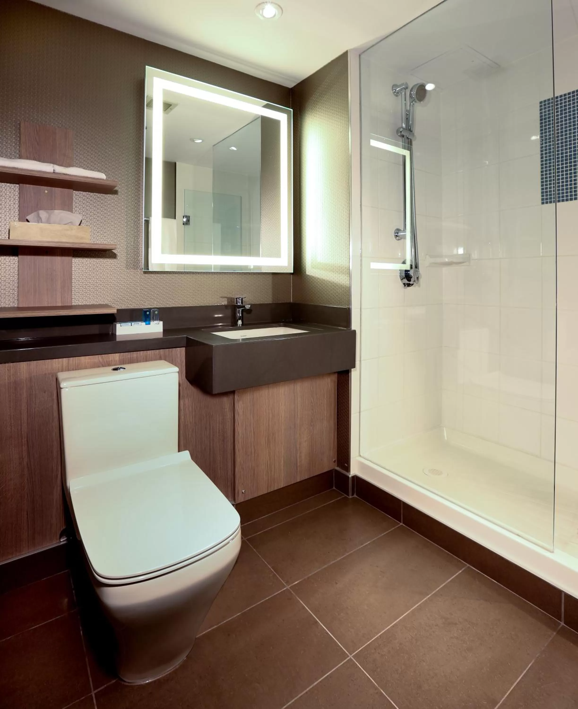 Bathroom in Novotel Ottawa City Centre Hotel