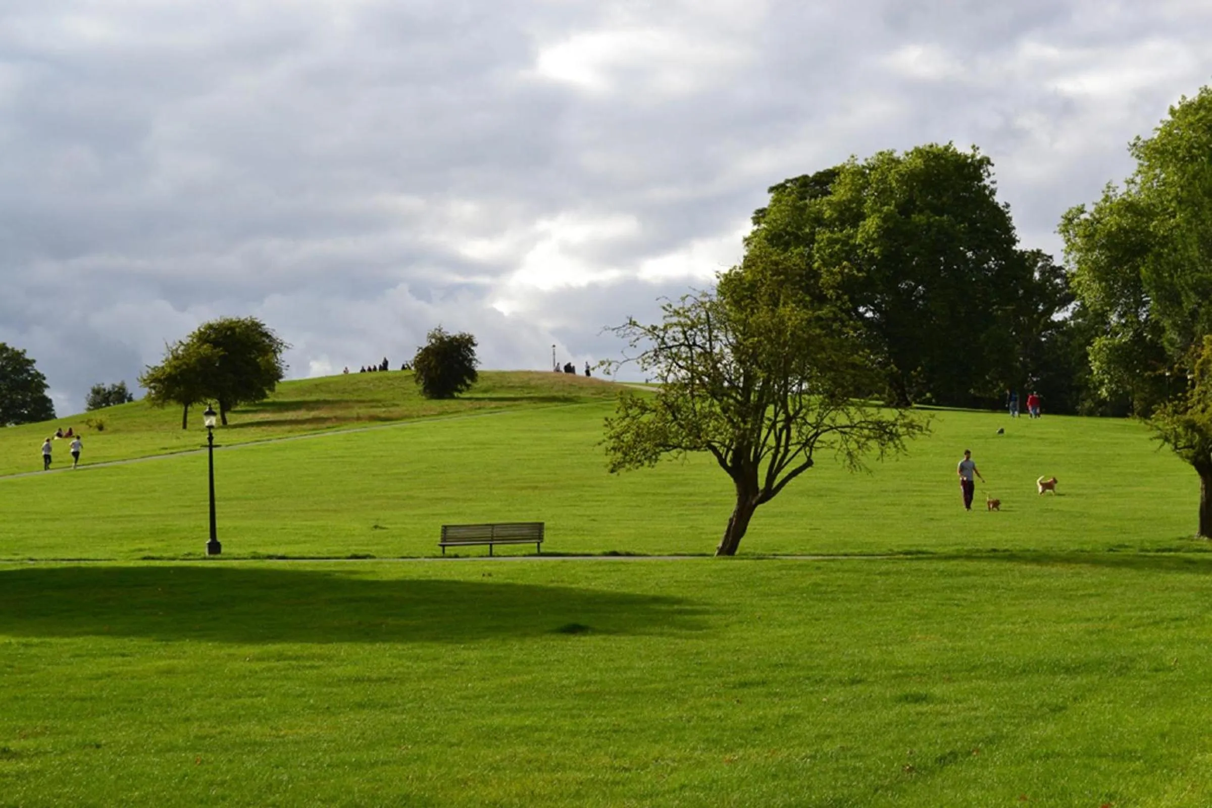 Natural landscape in Hampstead Britannia