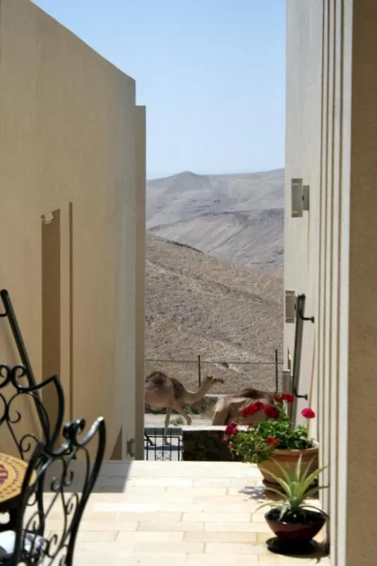 Animals in Yehelim Boutique Hotel