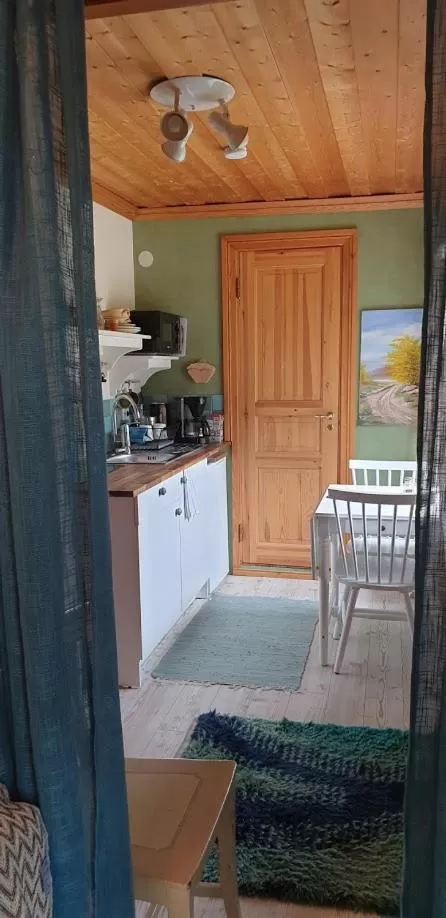 Kitchen or kitchenette in Woodstock B&B & Studio Apartments