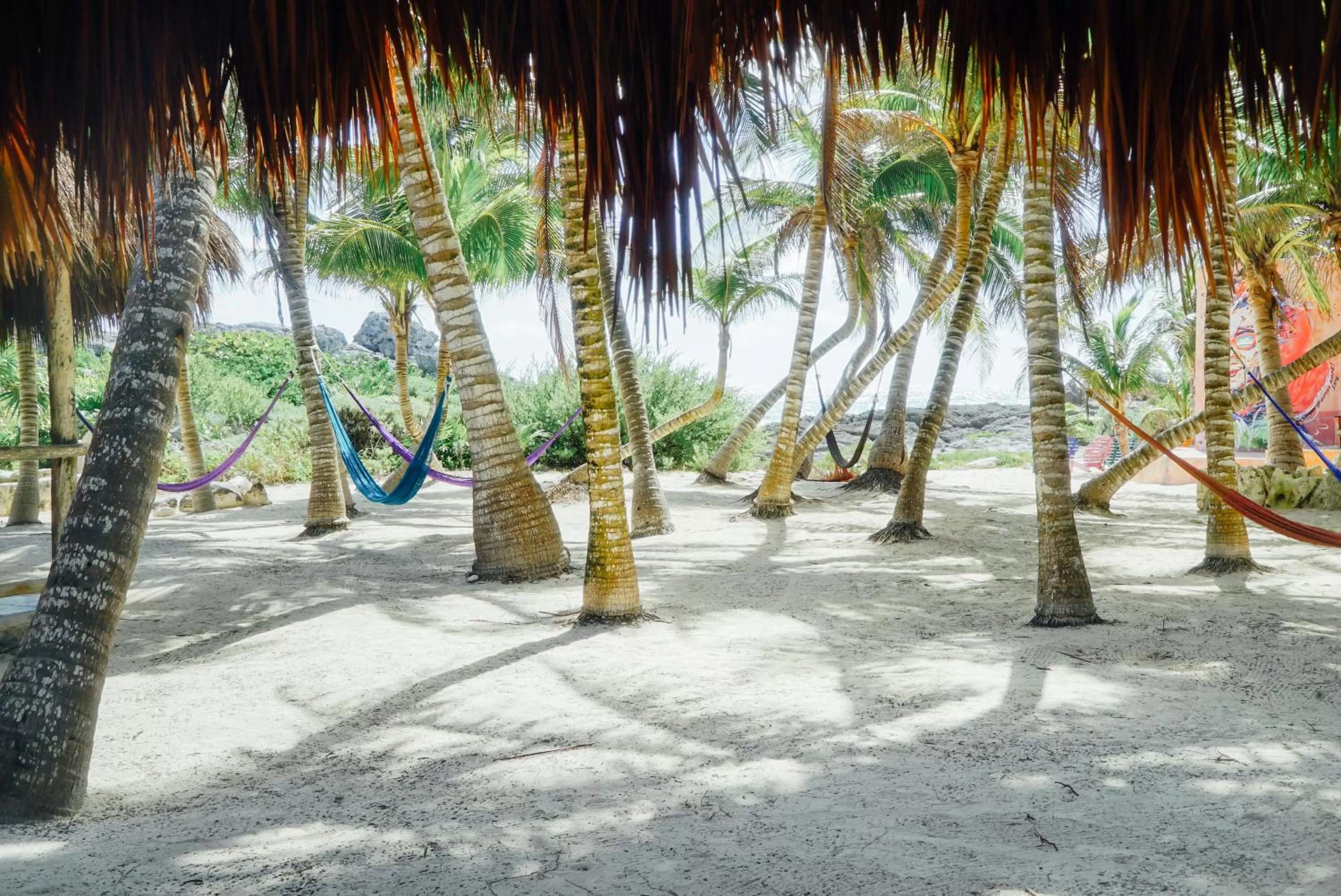 Sea view in Zamas Hotel