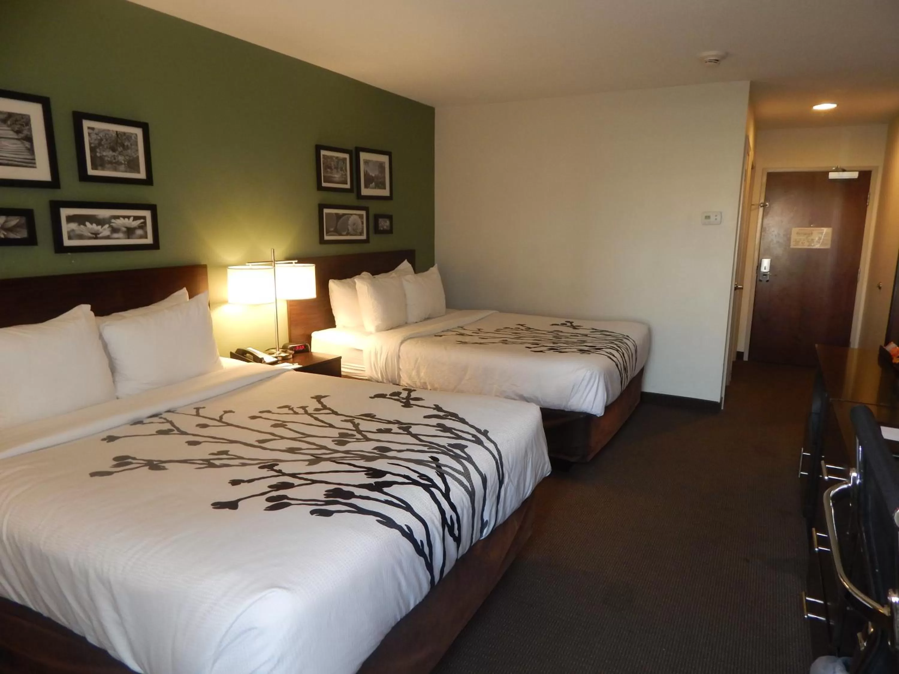Queen Room with Two Queen Beds - Non-Smoking in Sleep Inn & Suites near Liberty Place I-65