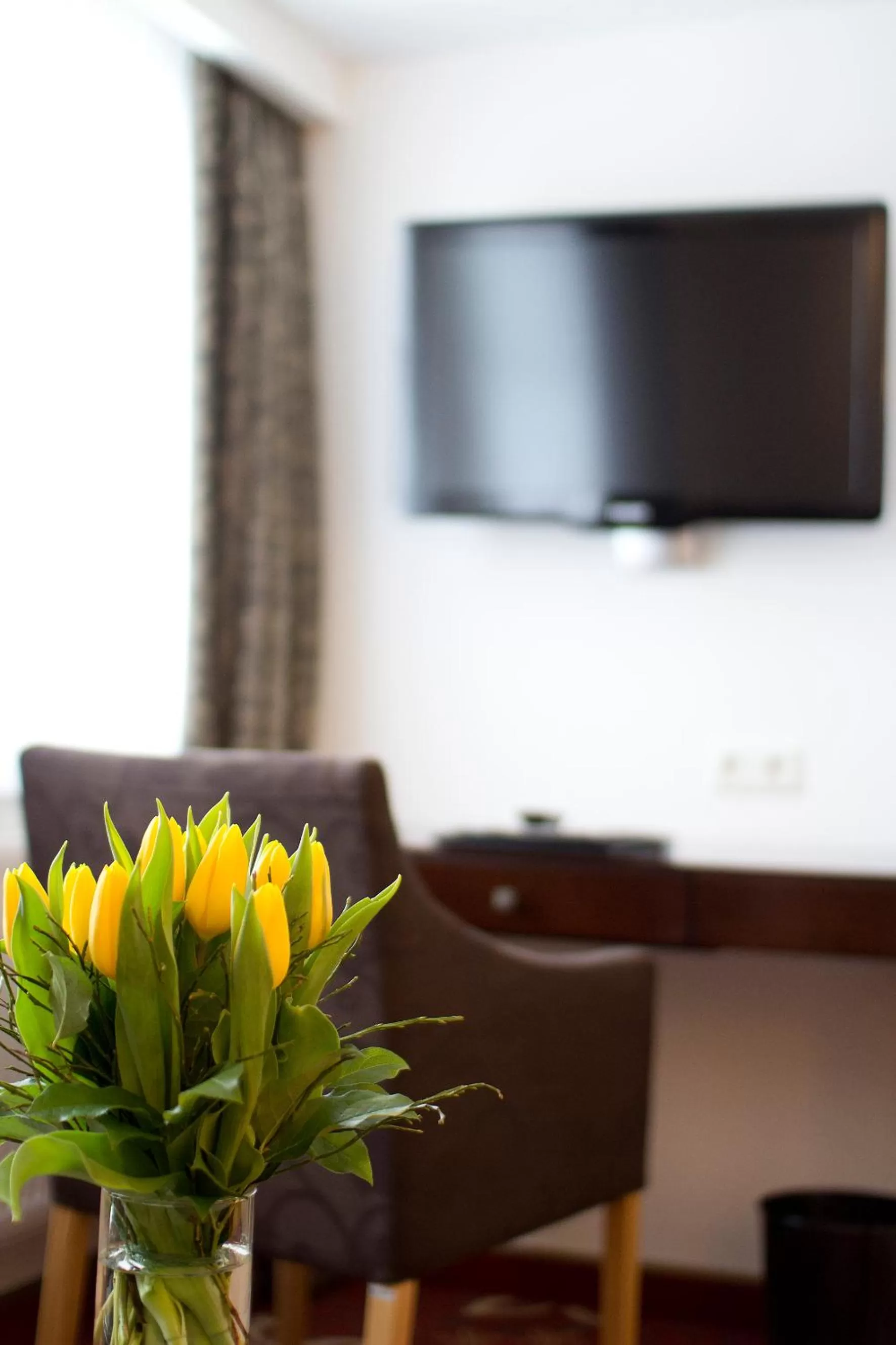 TV and multimedia in Hotel Jagdhaus Wiese