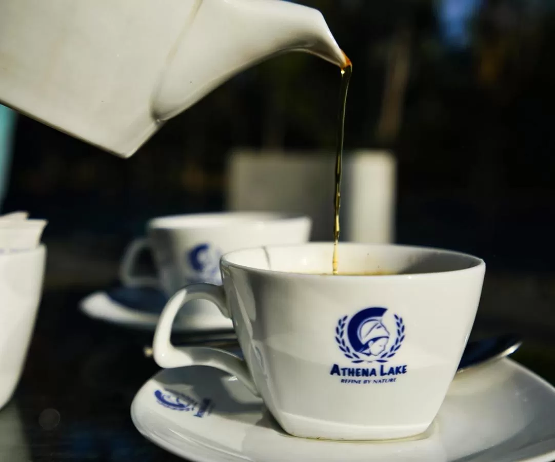 Lounge or bar in Athena Lake by Seedevi