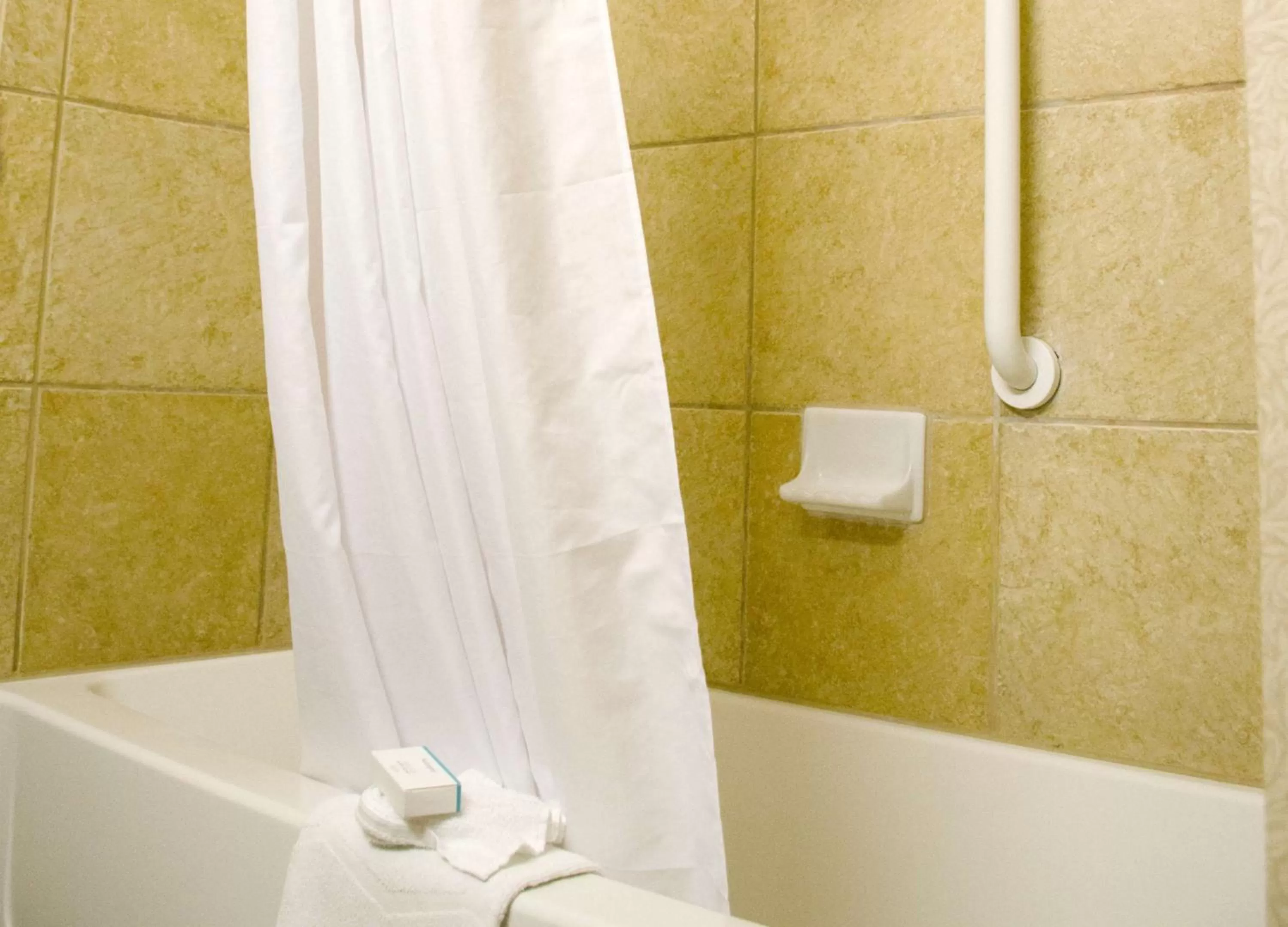 Bathroom in Hampton Inn & Suites College Station