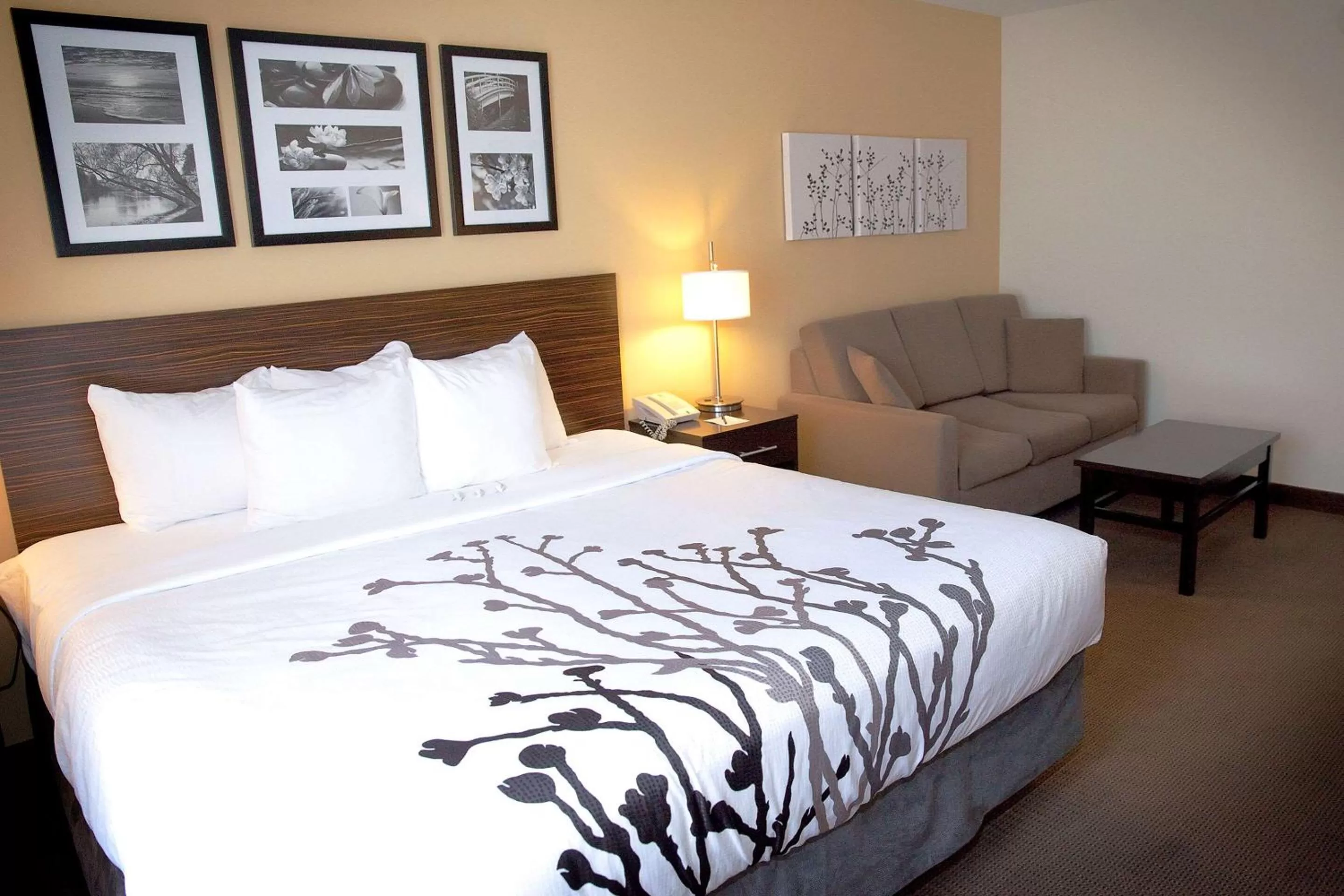 King Suite - Accessible/Non-Smoking in Sleep Inn & Suites Moundsville