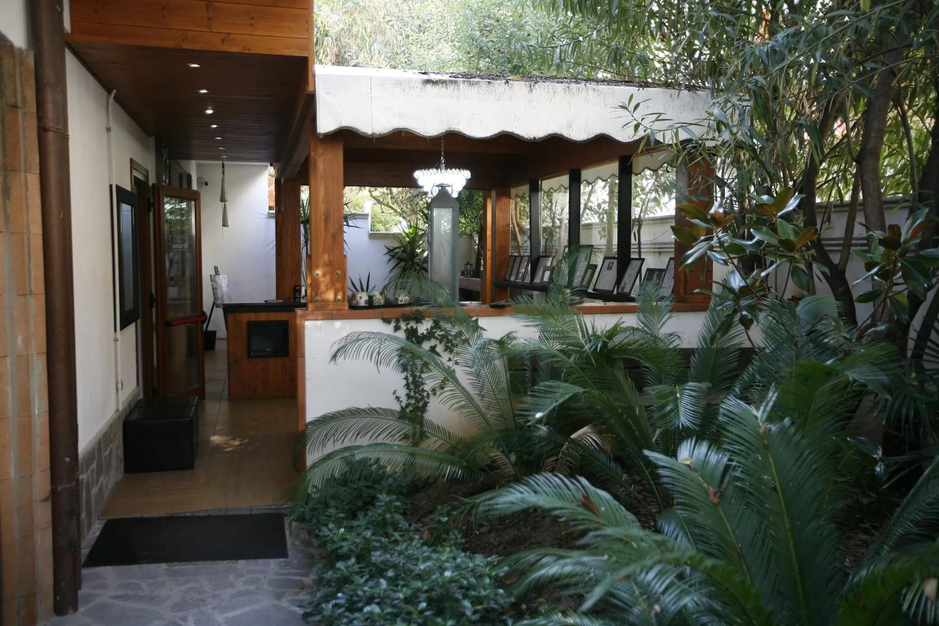 Garden in Villa Alba Boutique Hotel