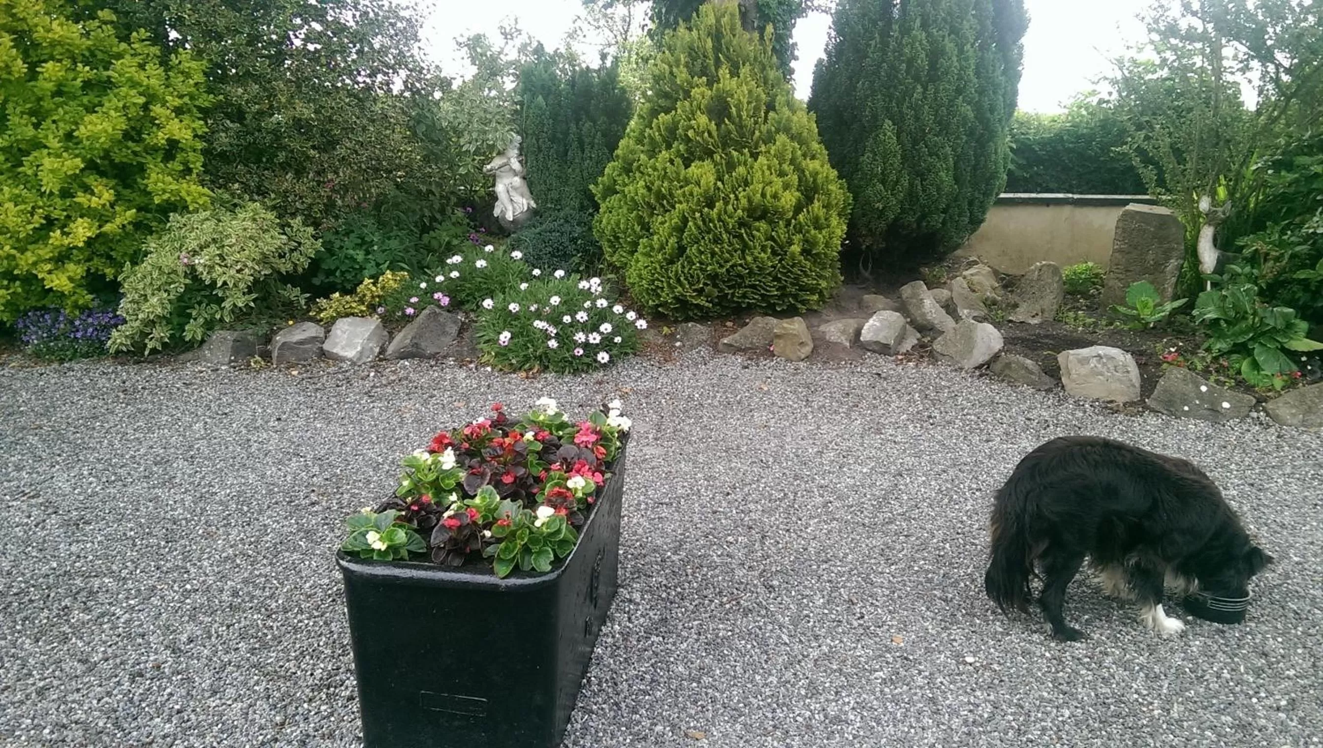 Natural landscape in The Ring Farmhouse