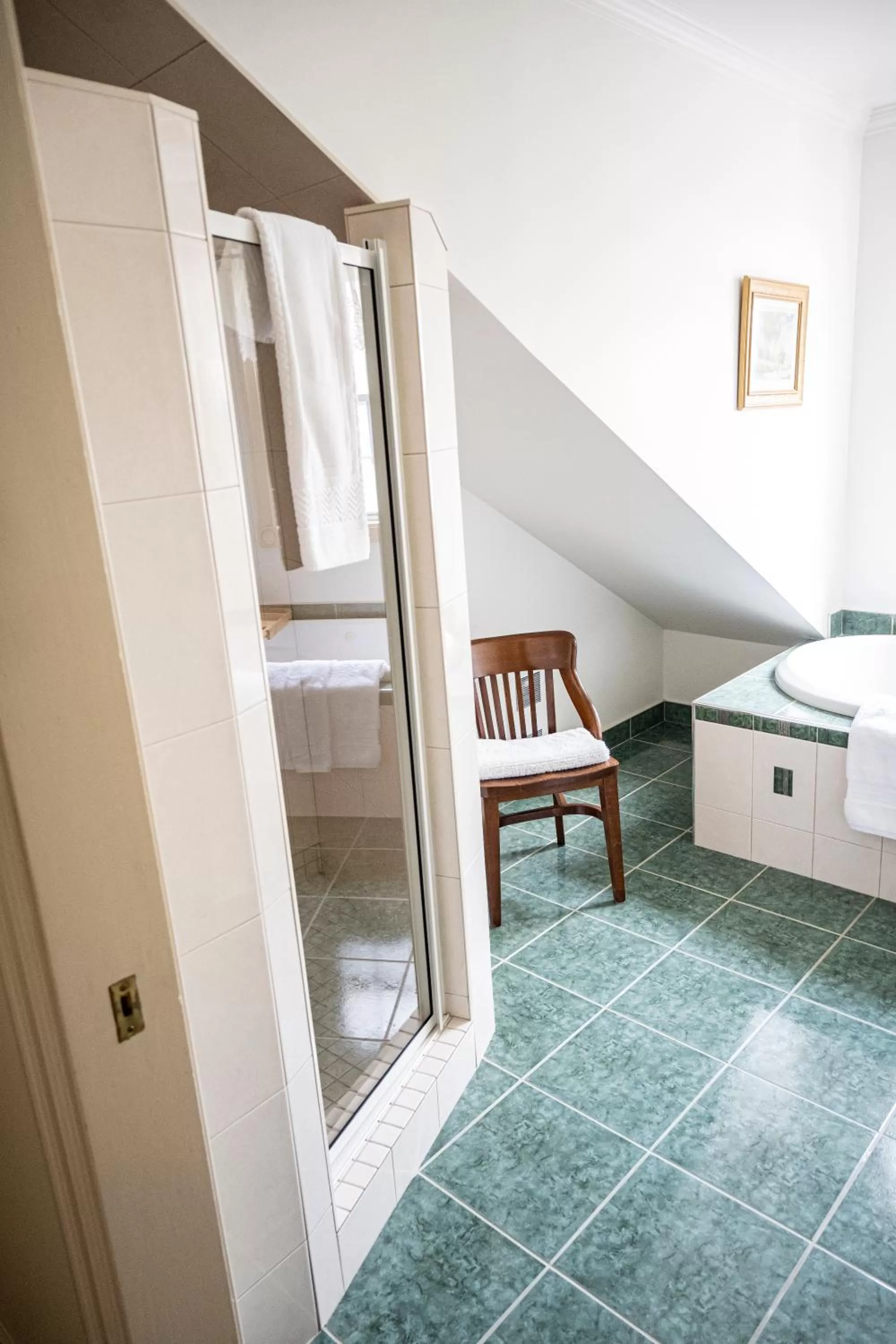 Shower in Belle View Manor Inn