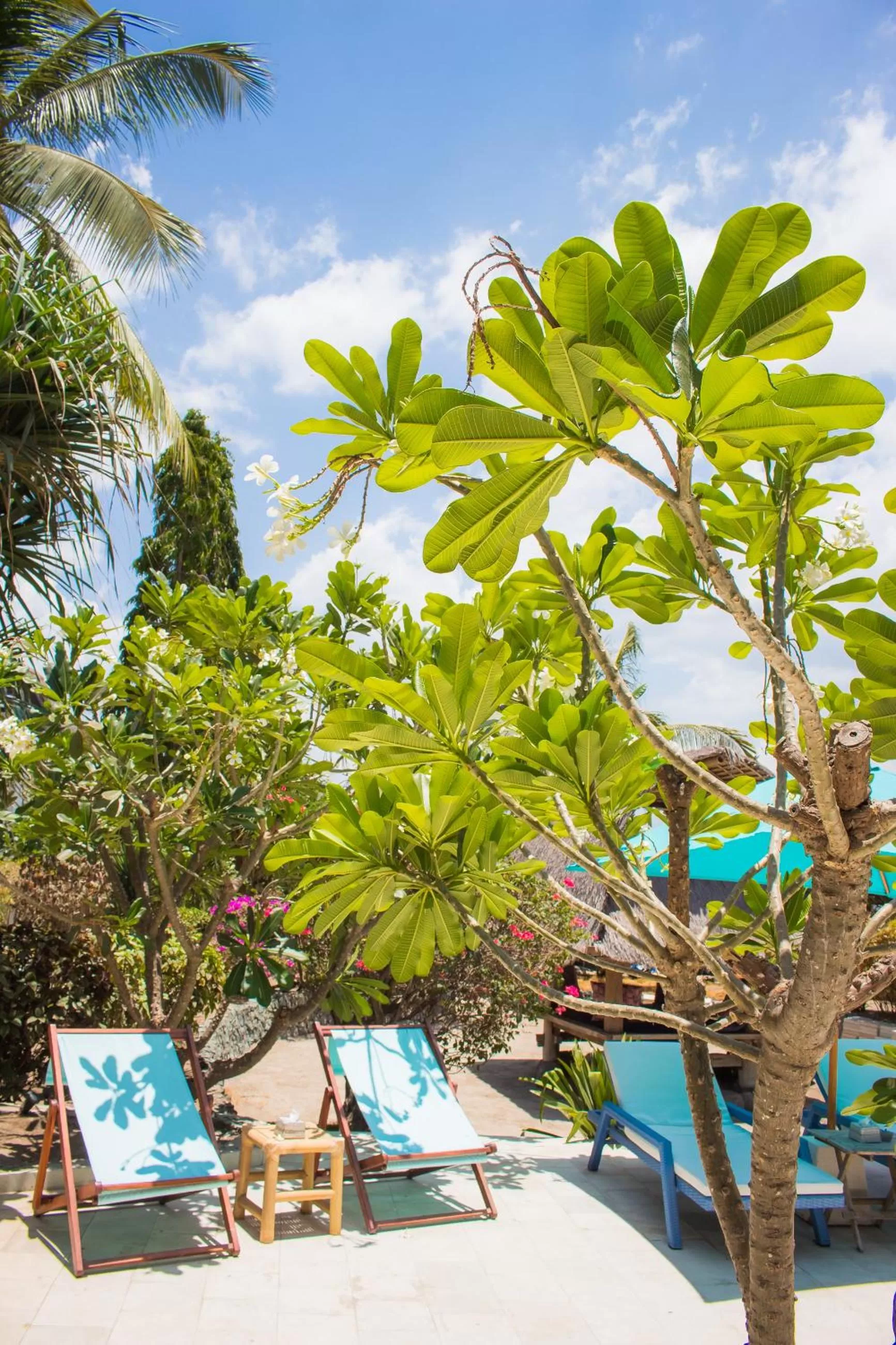 Swimming pool in Sunrise Resort