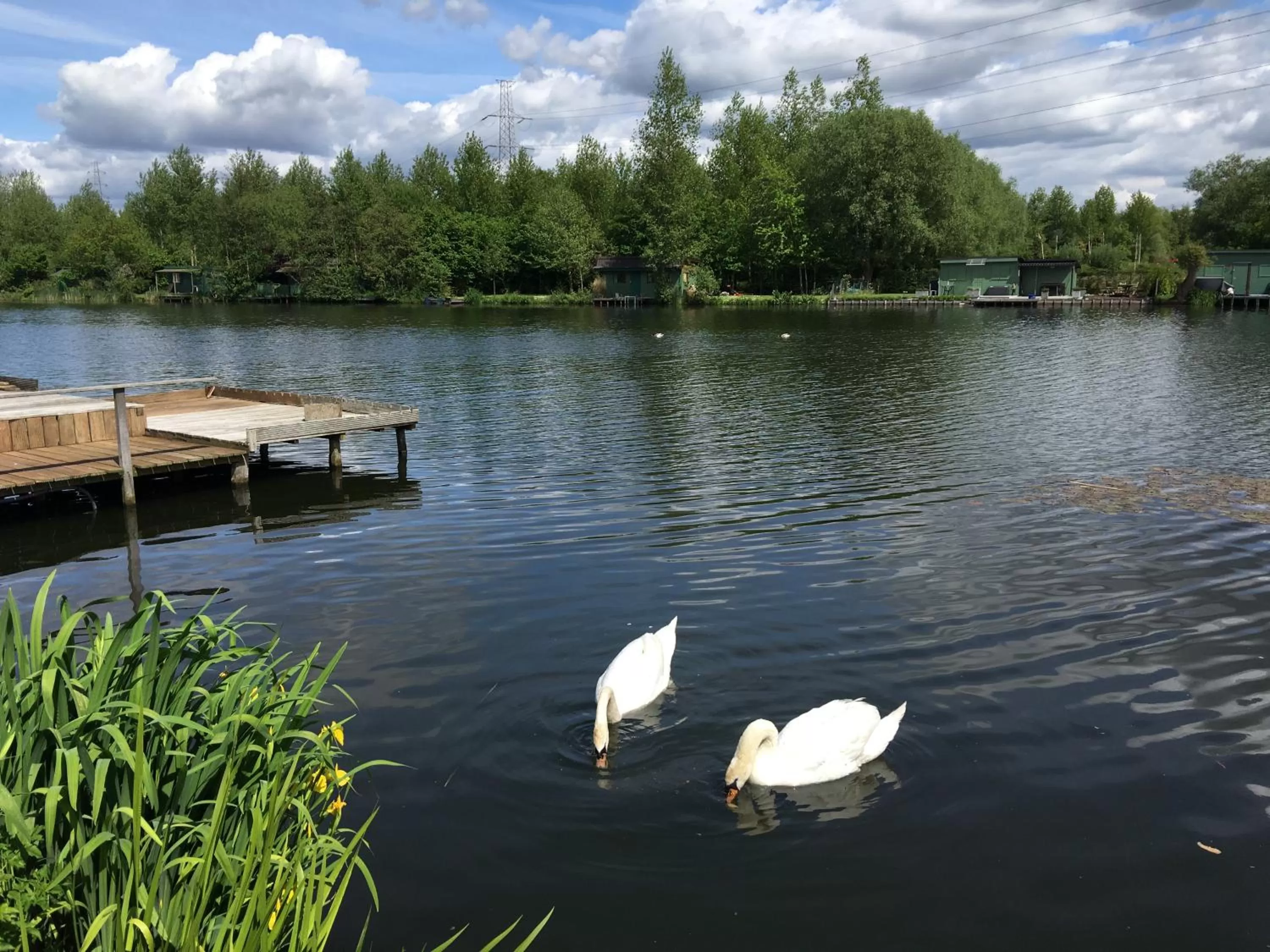 Property building in Hotel Temse