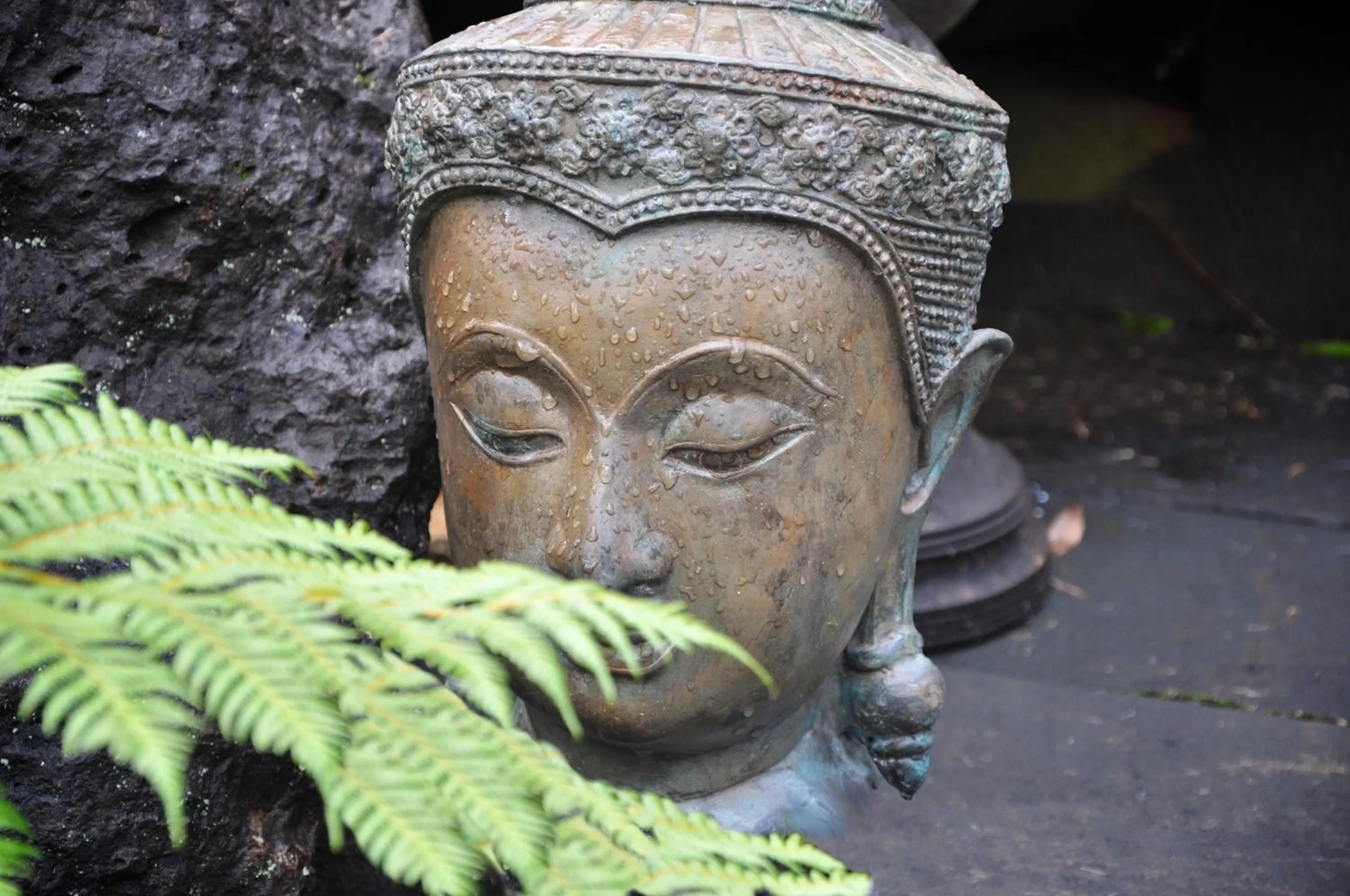 Garden in Escarpment Retreat & Day Spa for Couples