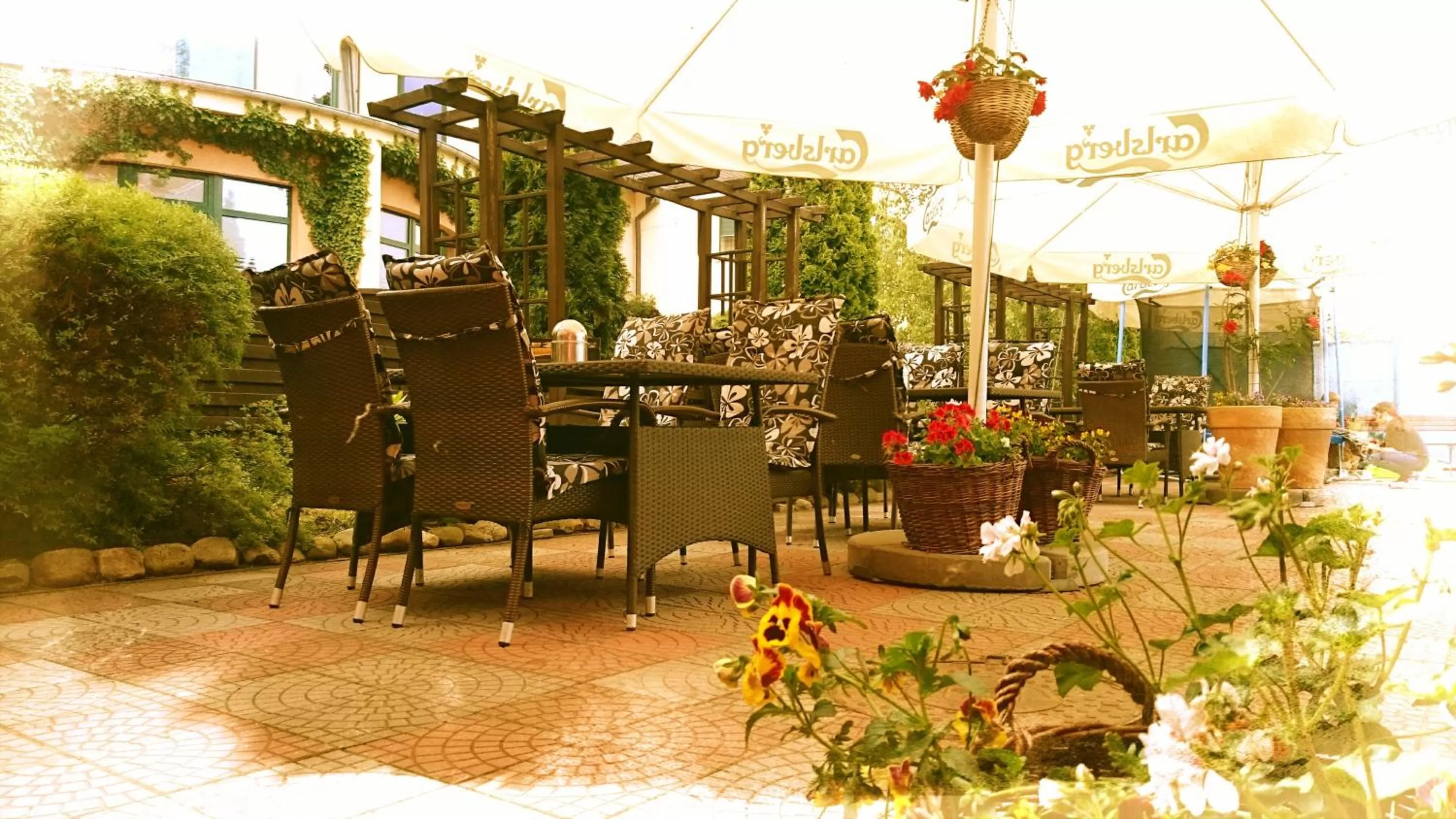 Garden in Tenis Club