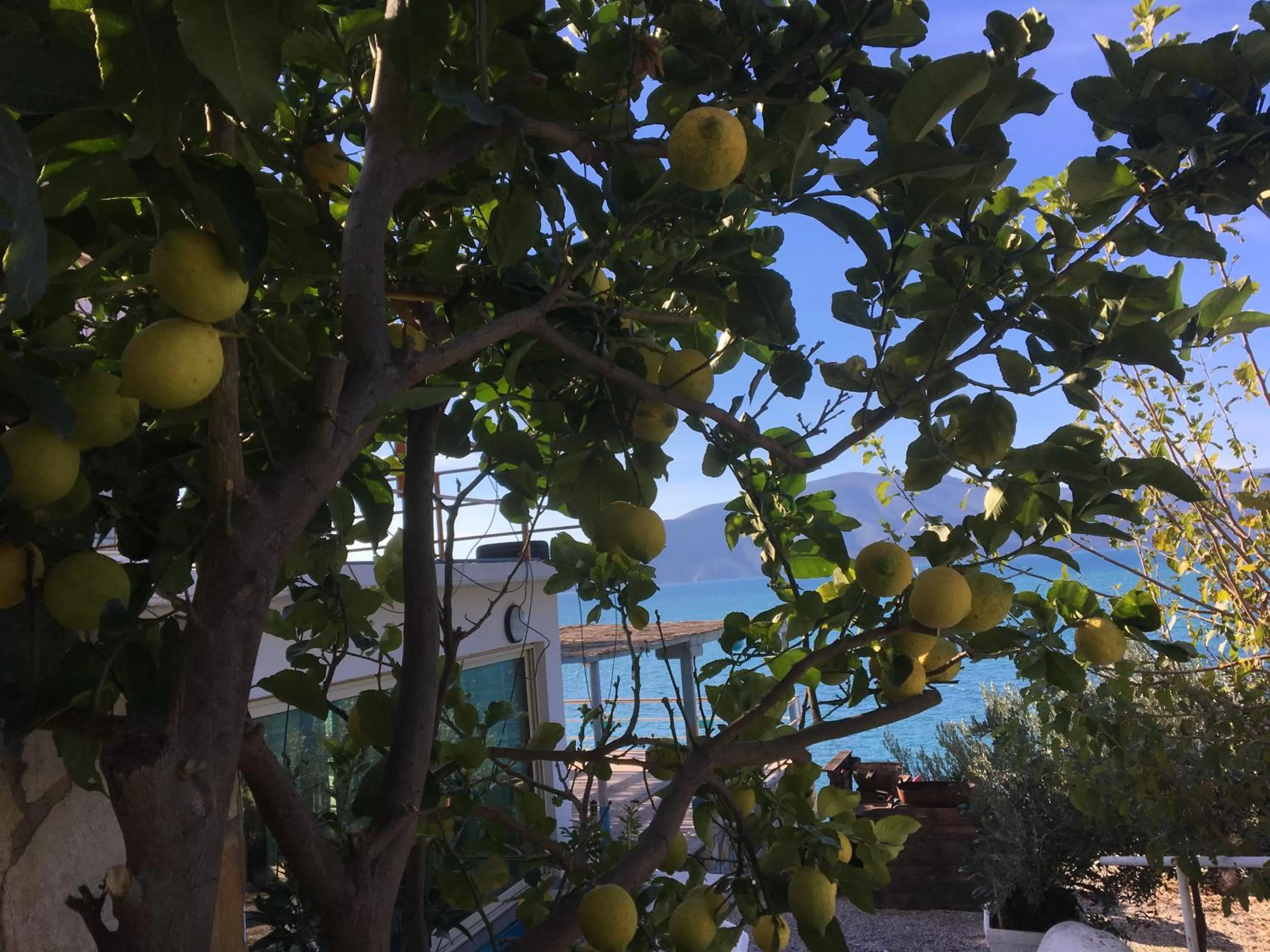 Vila Rahmi & Veli Dervishaj