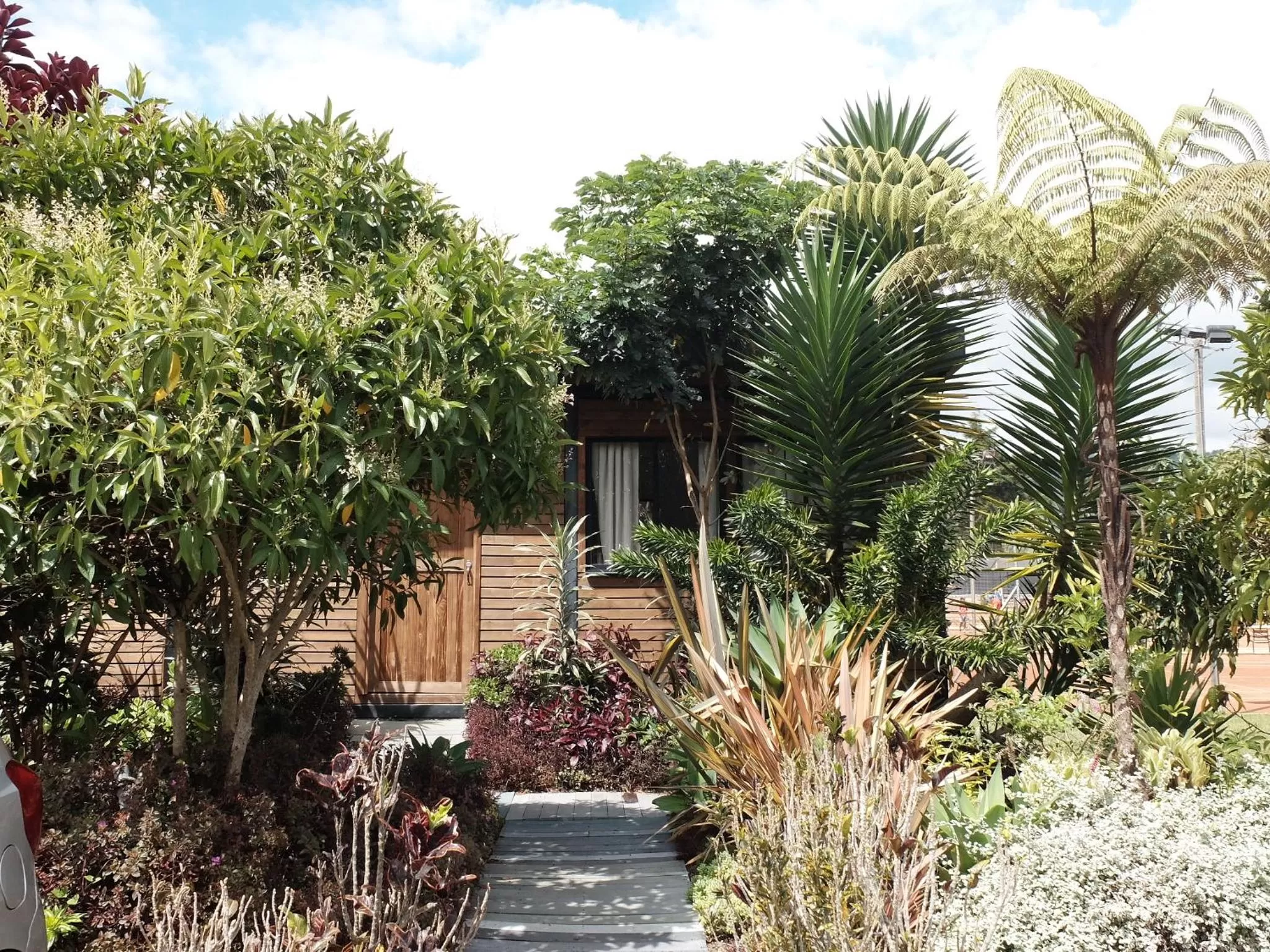 View (from property/room) in ALTO LODGING Centro de Entrenamiento Deportivo y Negocios, a 2 pasos del Aeropuerto JMC, Transporte Incluido