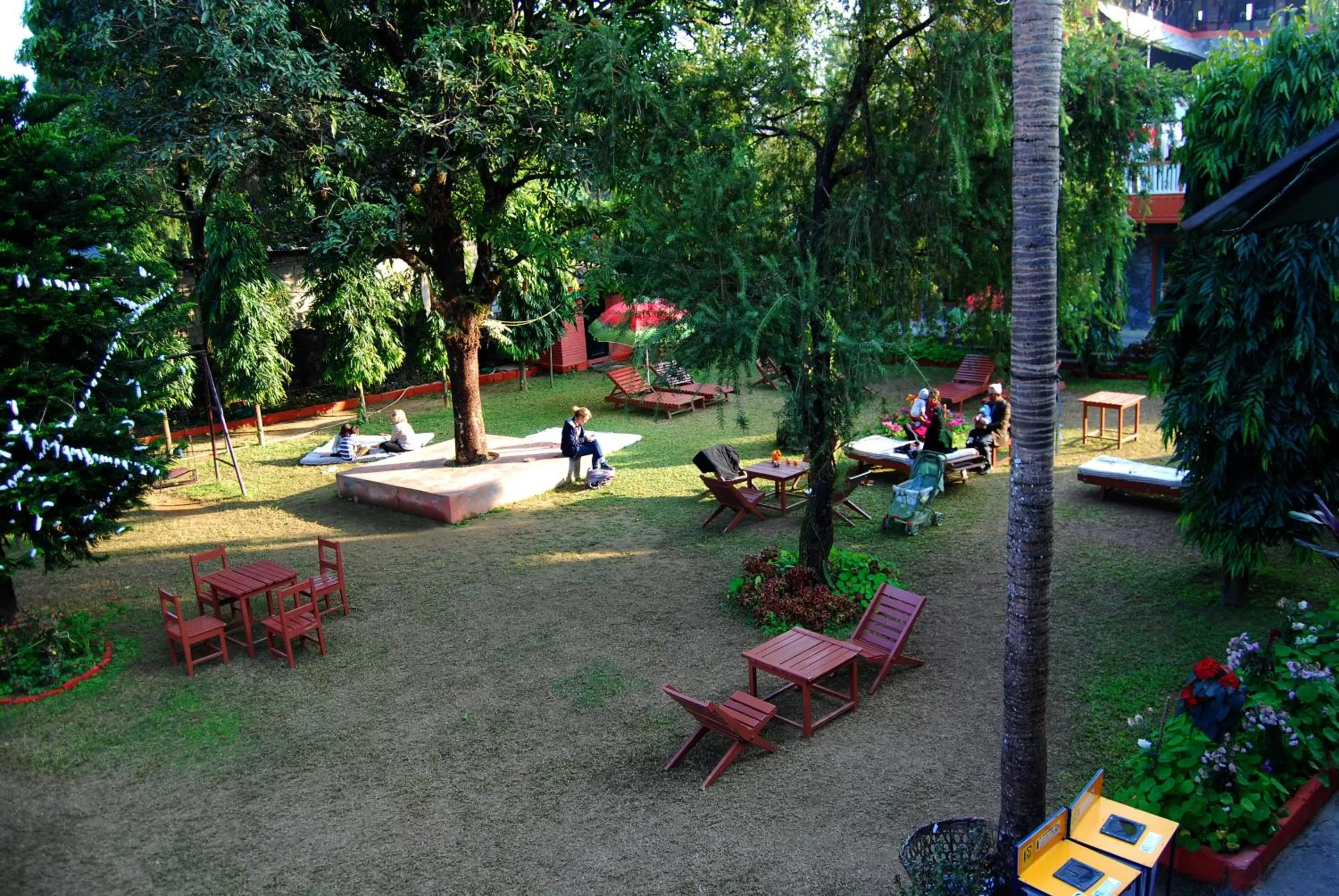 Garden in Butterfly Lodge