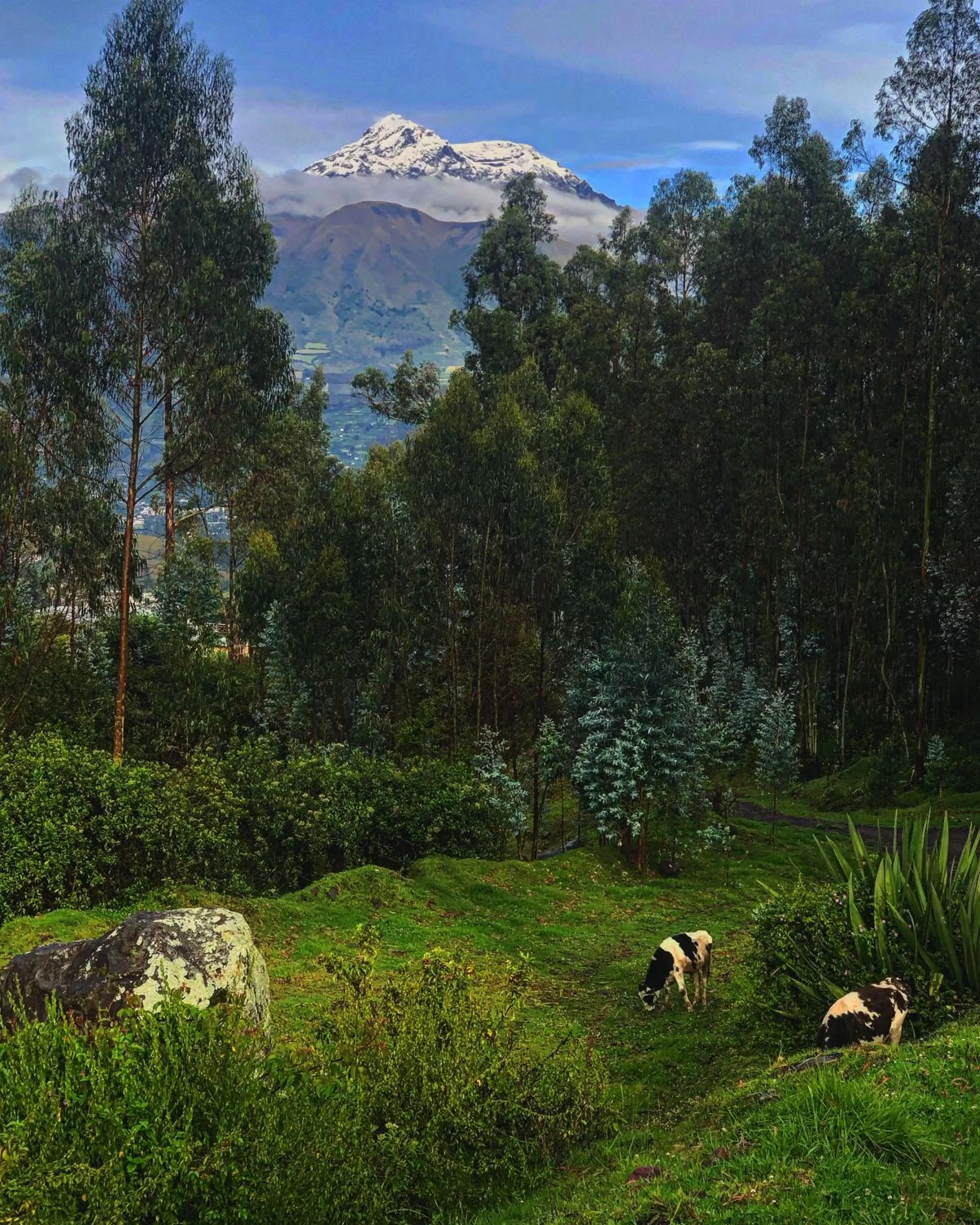 Natural landscape in El Tio Hostal