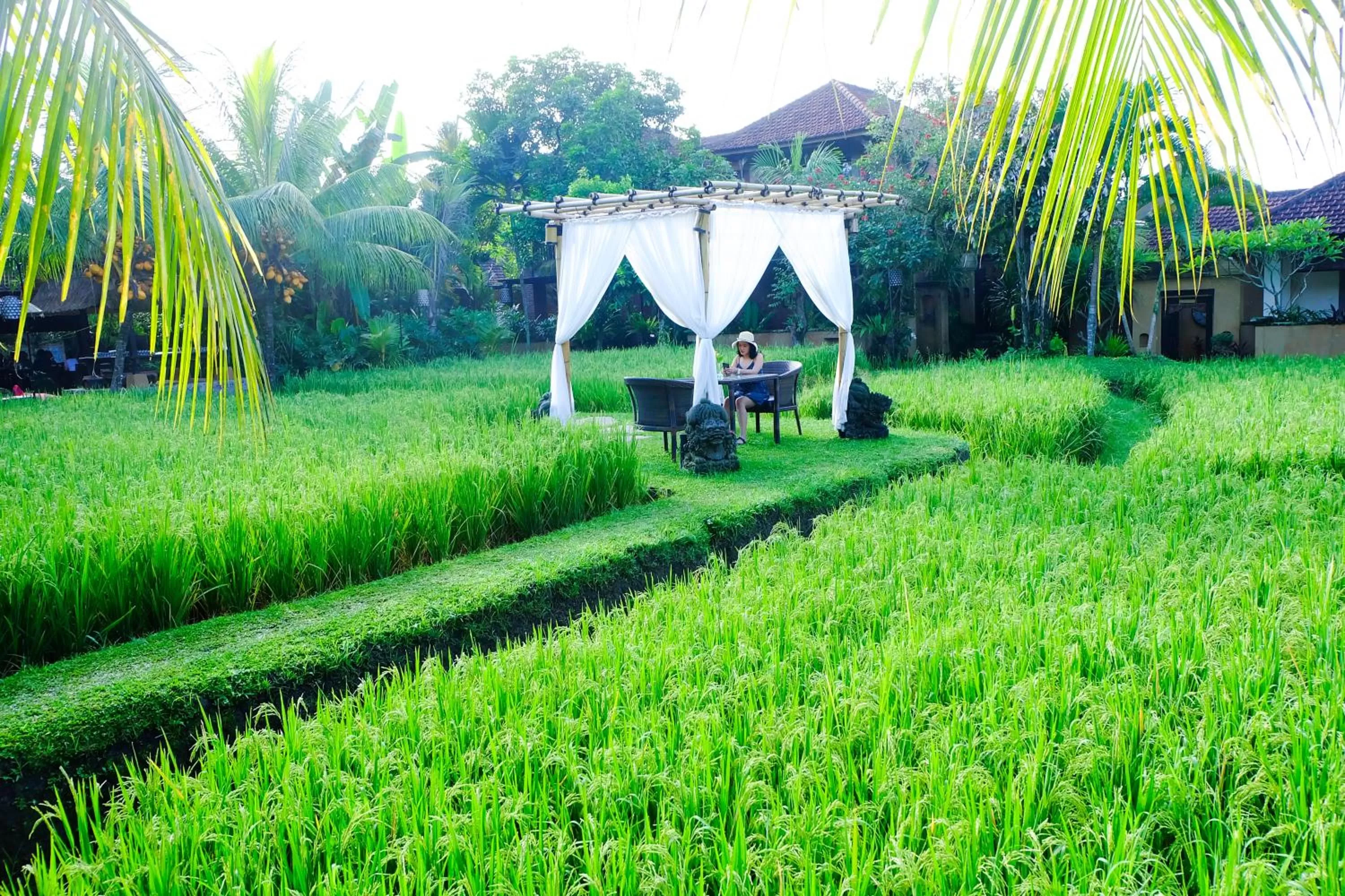 Natural landscape, Garden in Bebek Tepi Sawah Restaurant & Villas