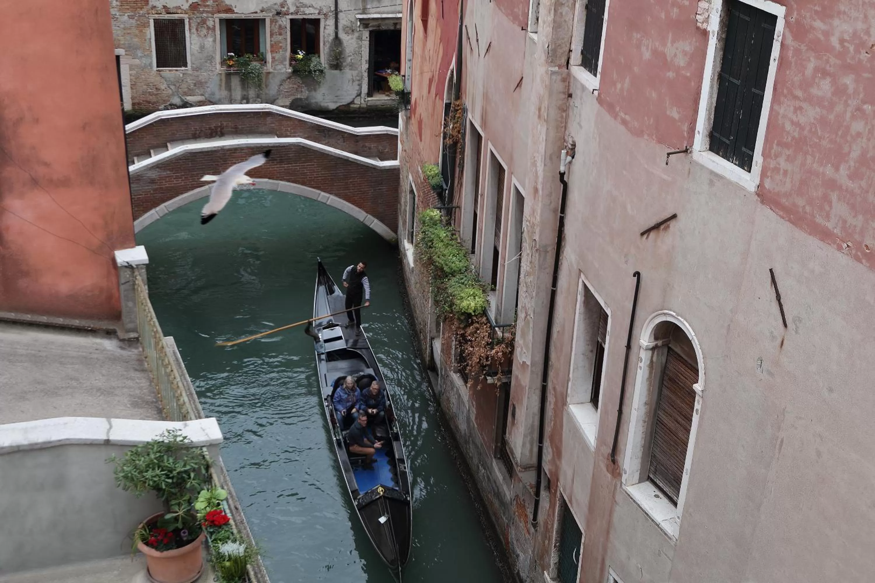 View (from property/room) in Ruzzini Palace Hotel