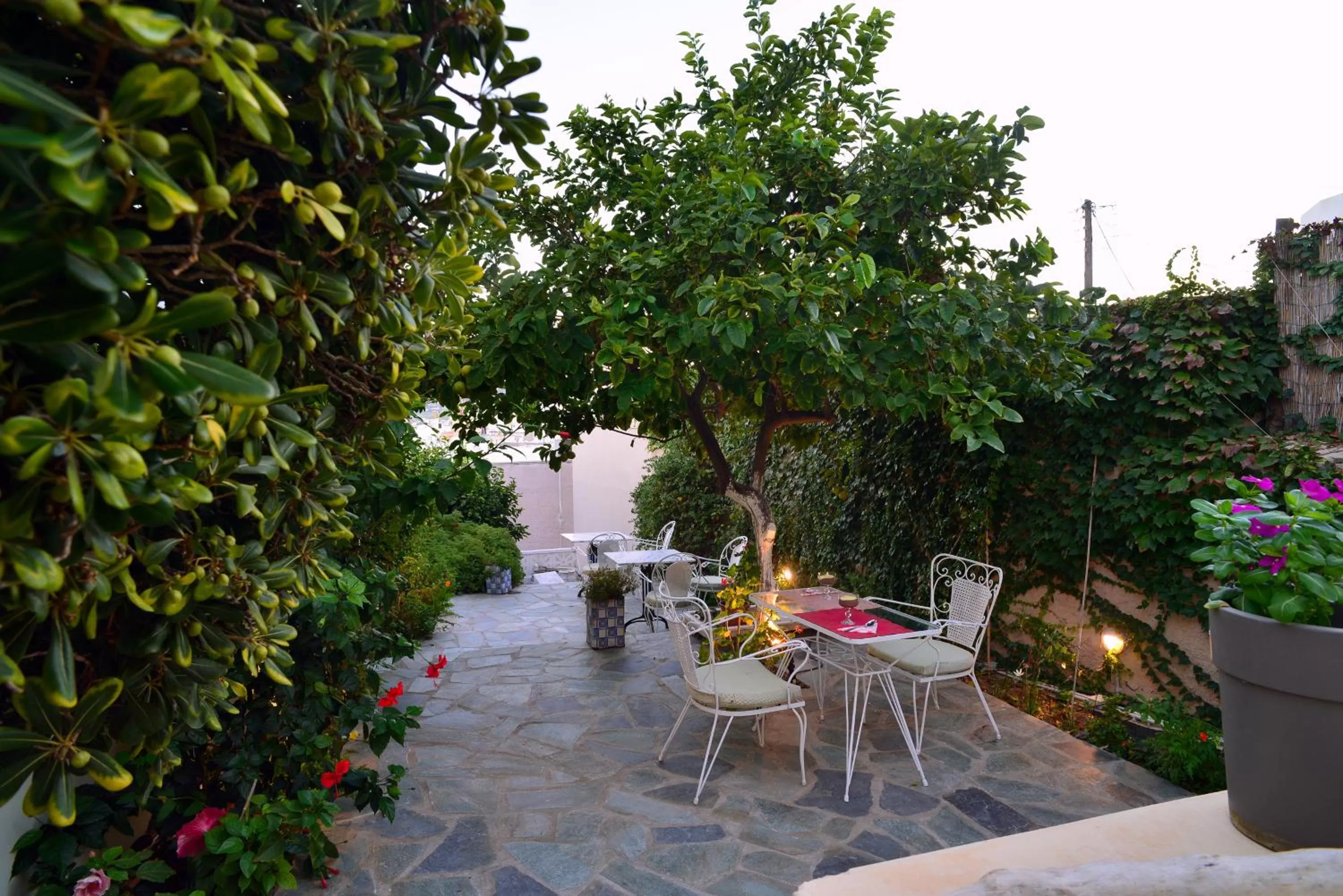 Garden in 1901 Hermoupolis