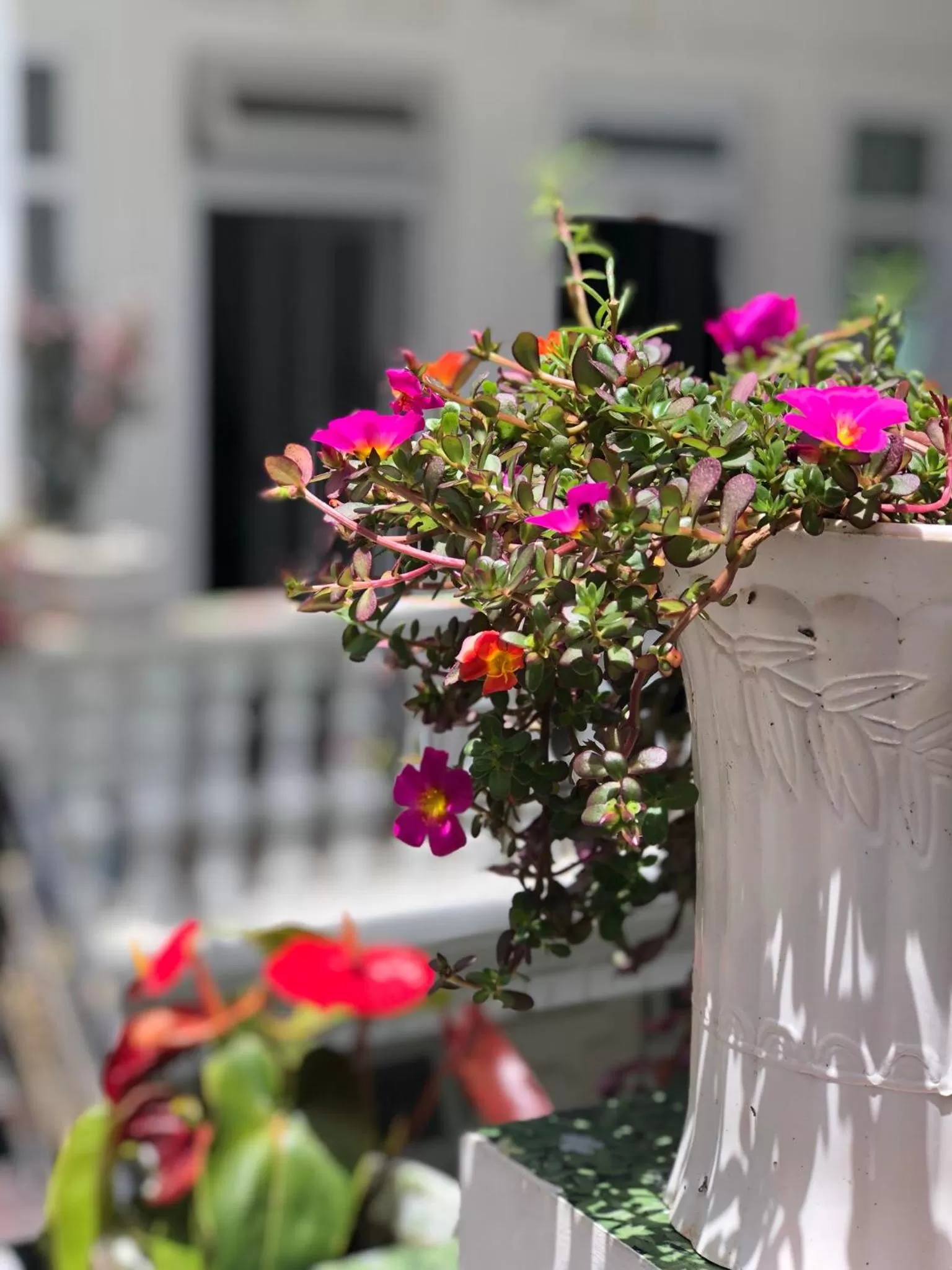 Balcony/Terrace in Villa - Hotel Nam Khang 2 Dalat