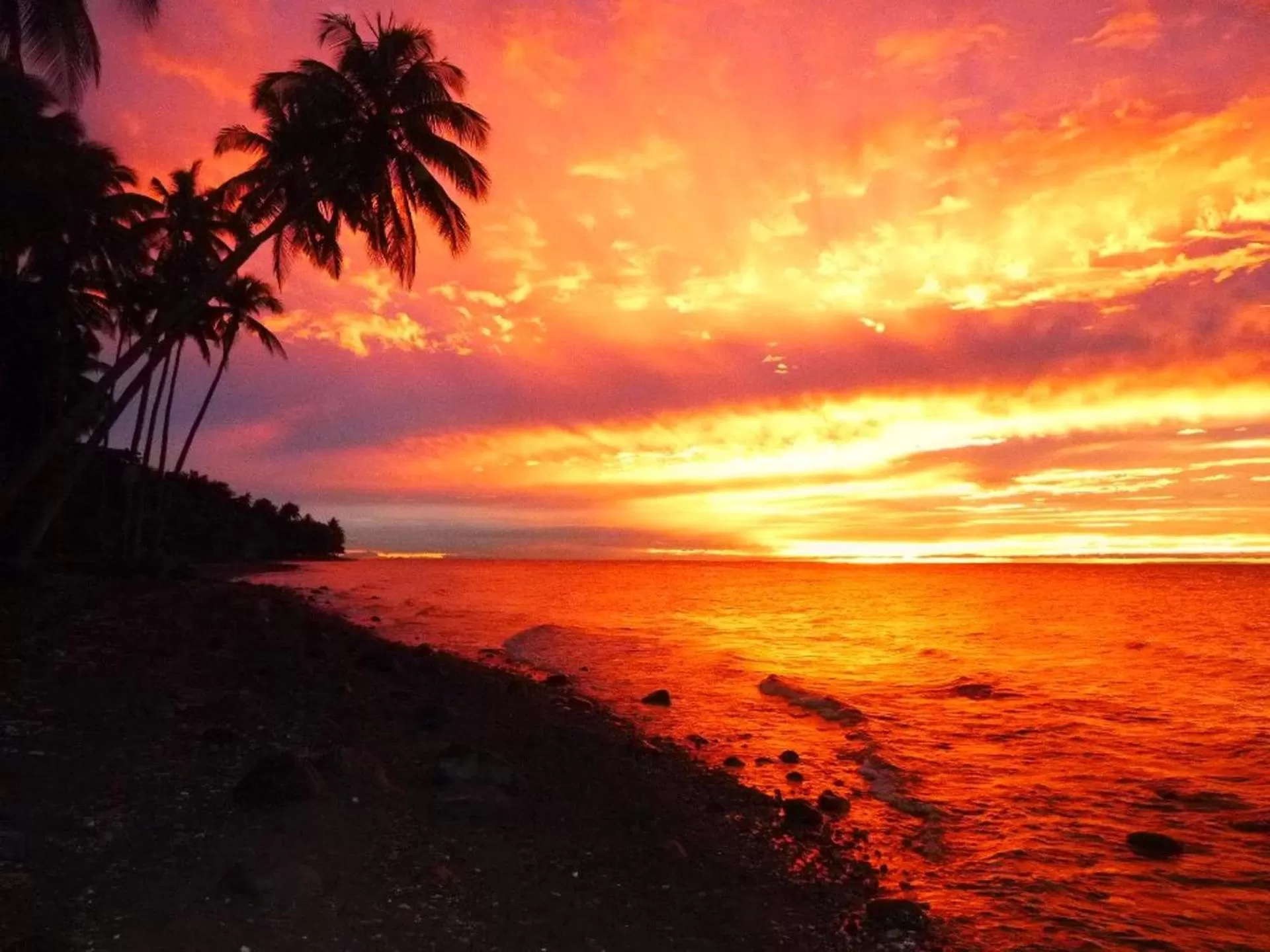 Area and facilities in SomeWhere Else Boutique Resort