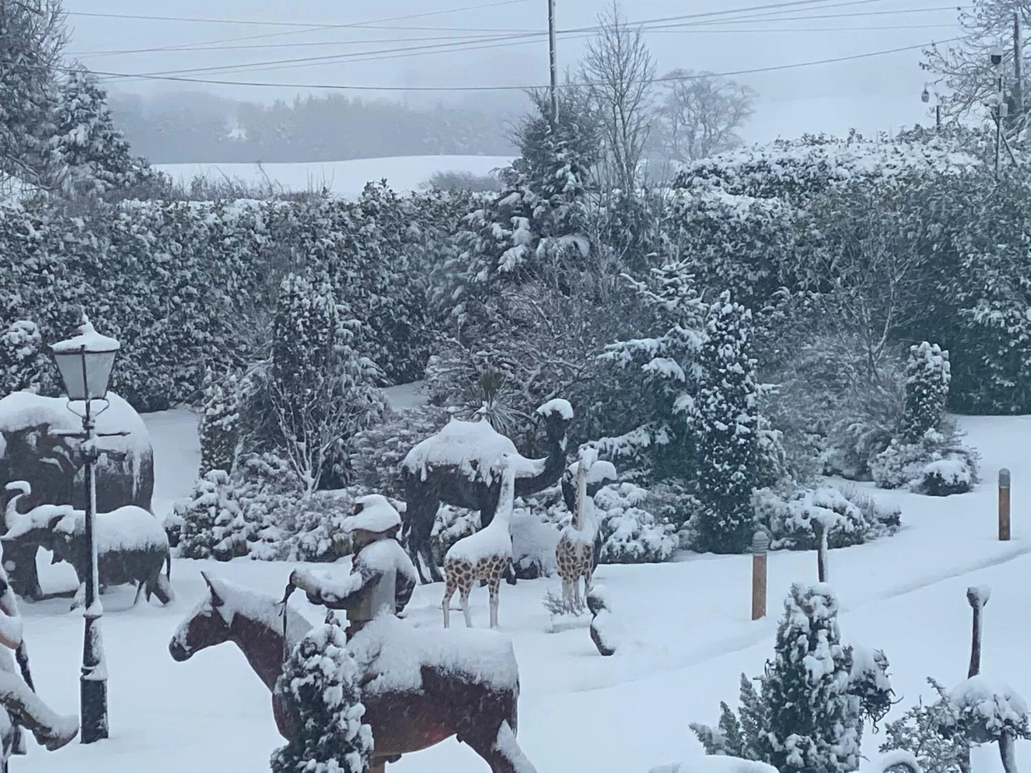 Garden in The Hilltop Haven