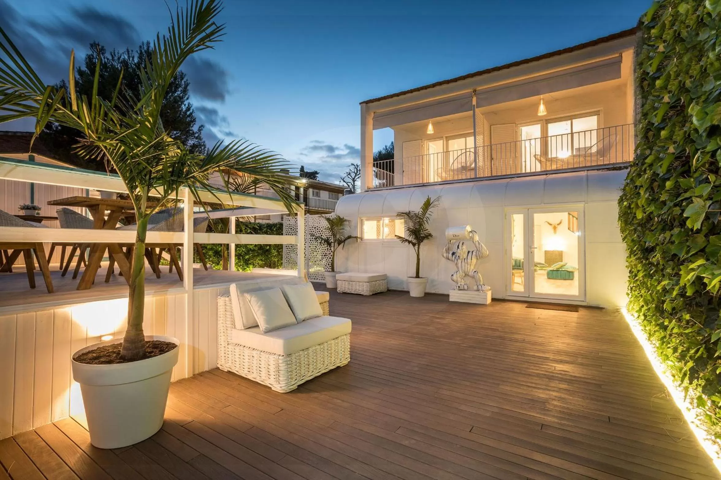 Garden in Antonio's House