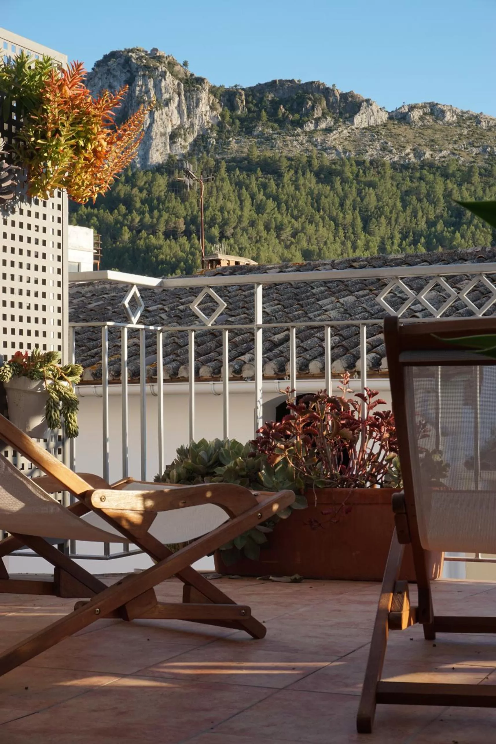 Garden in Mardenit Hotel Boutique