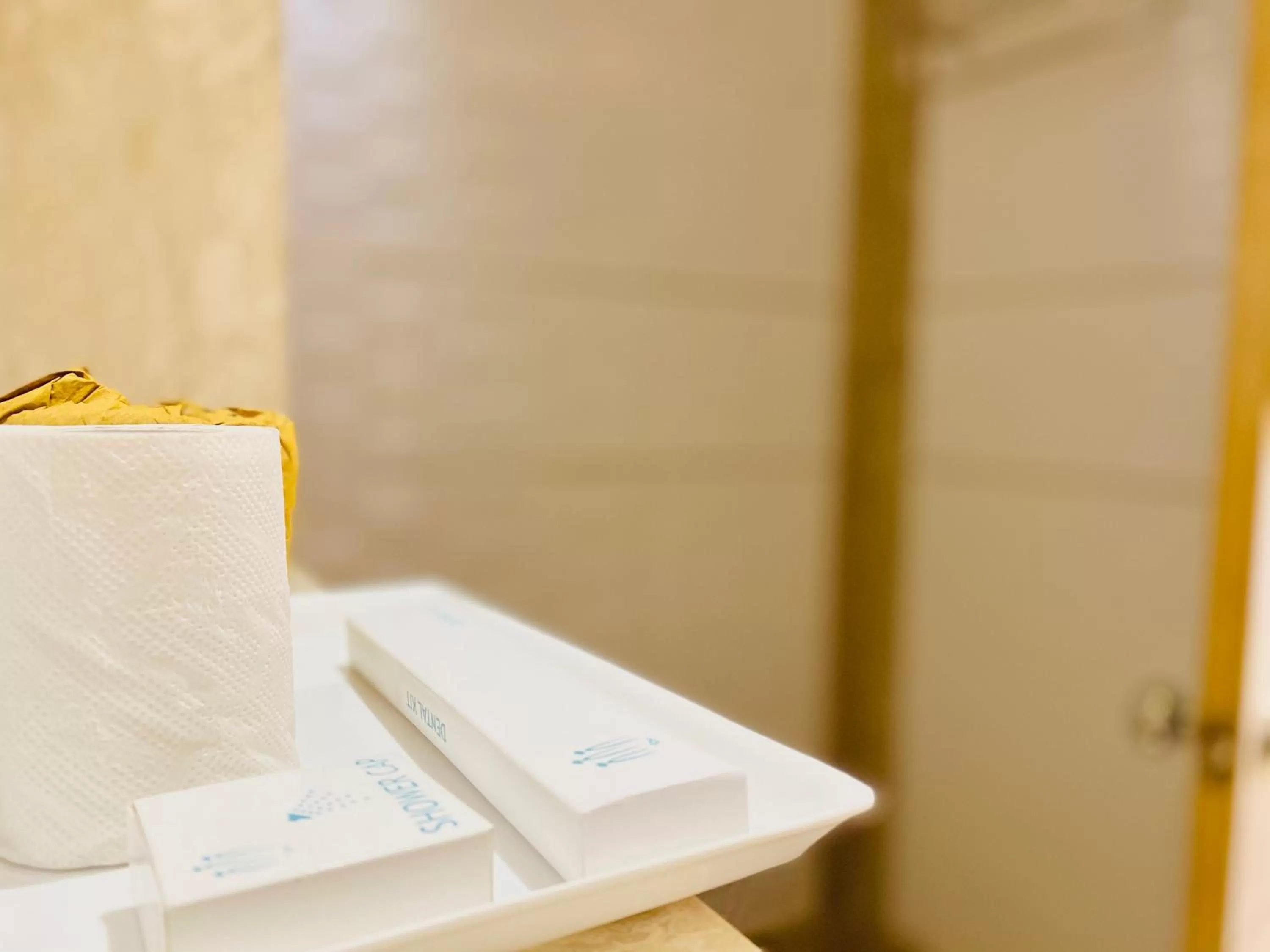 Bathroom in City Empire - New Delhi Railway Station, Near Connaught Place