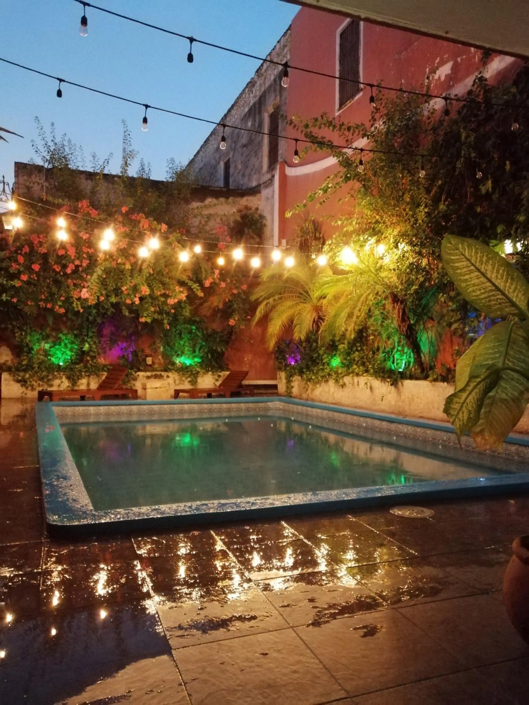 Swimming pool in Hotel Reforma