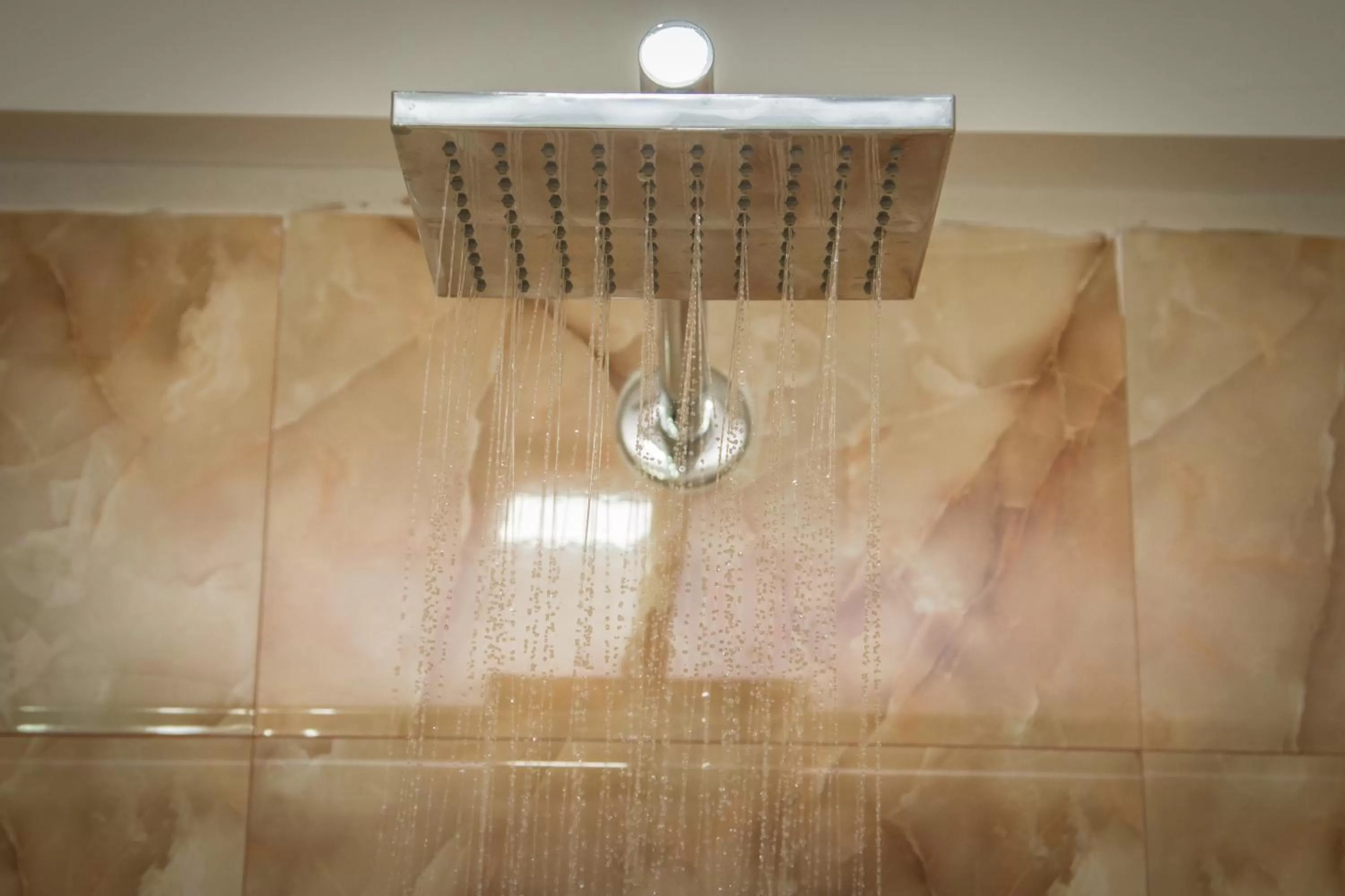 Shower in Aryatara Kathmandu Hotel