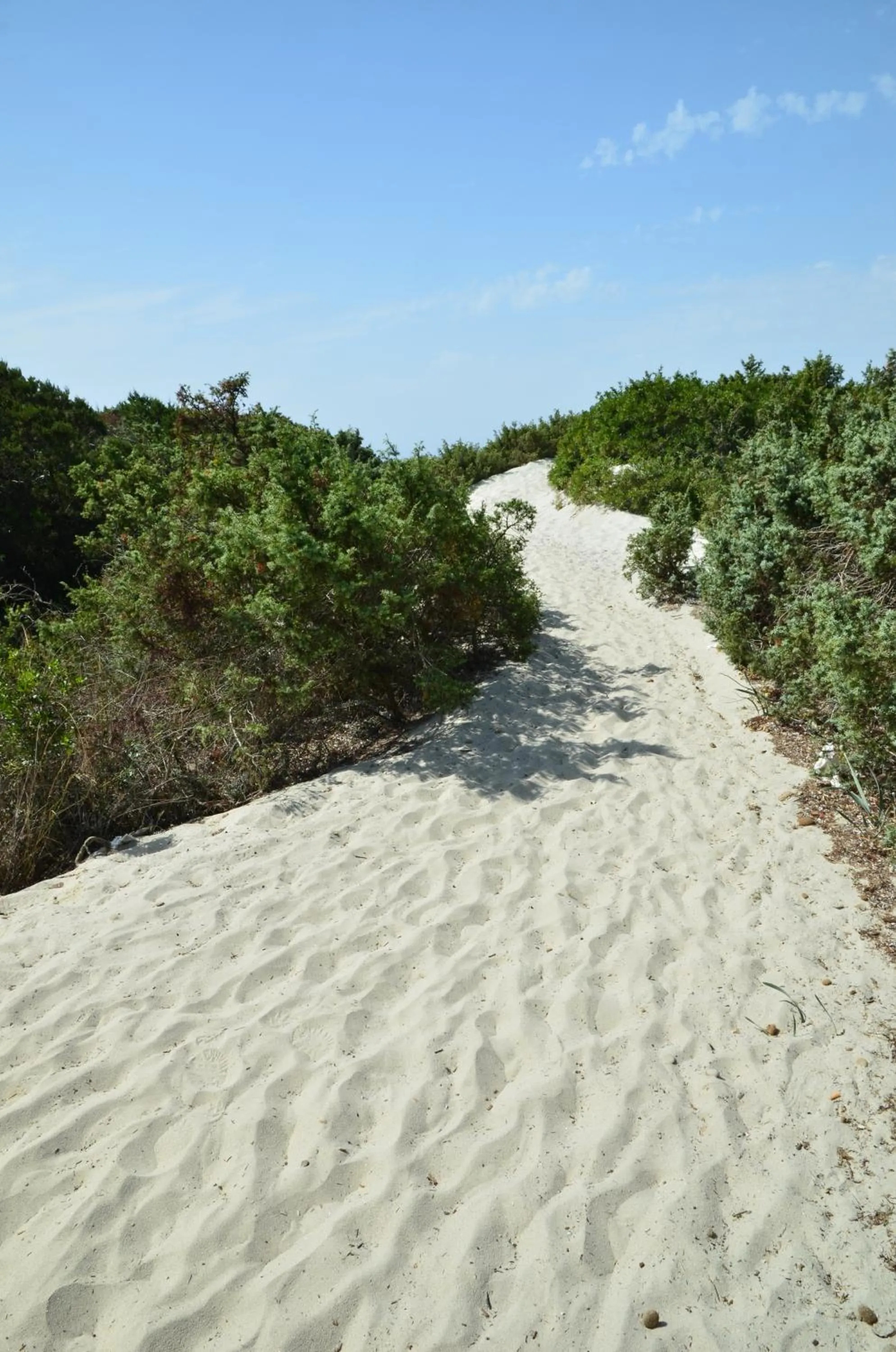 Other in Hotel Fiore Di Maggio
