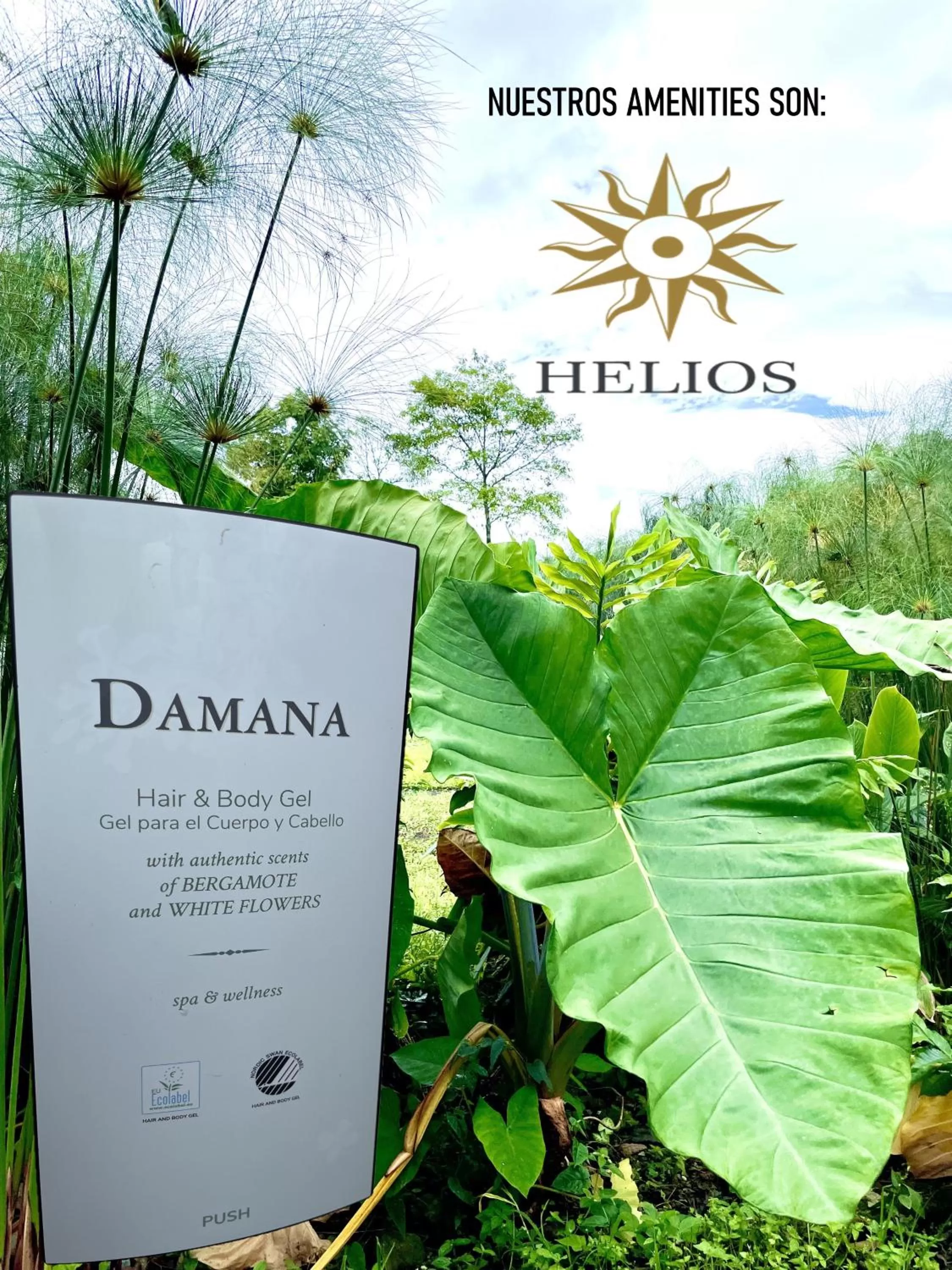 Shower in Ecohotel Alma