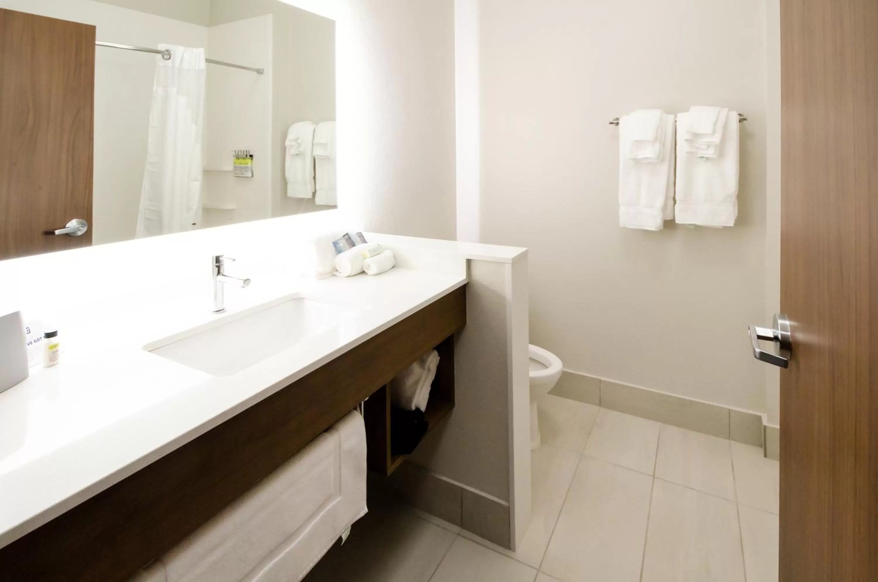 Bathroom in Holiday Inn Express & Suites Taylor by IHG