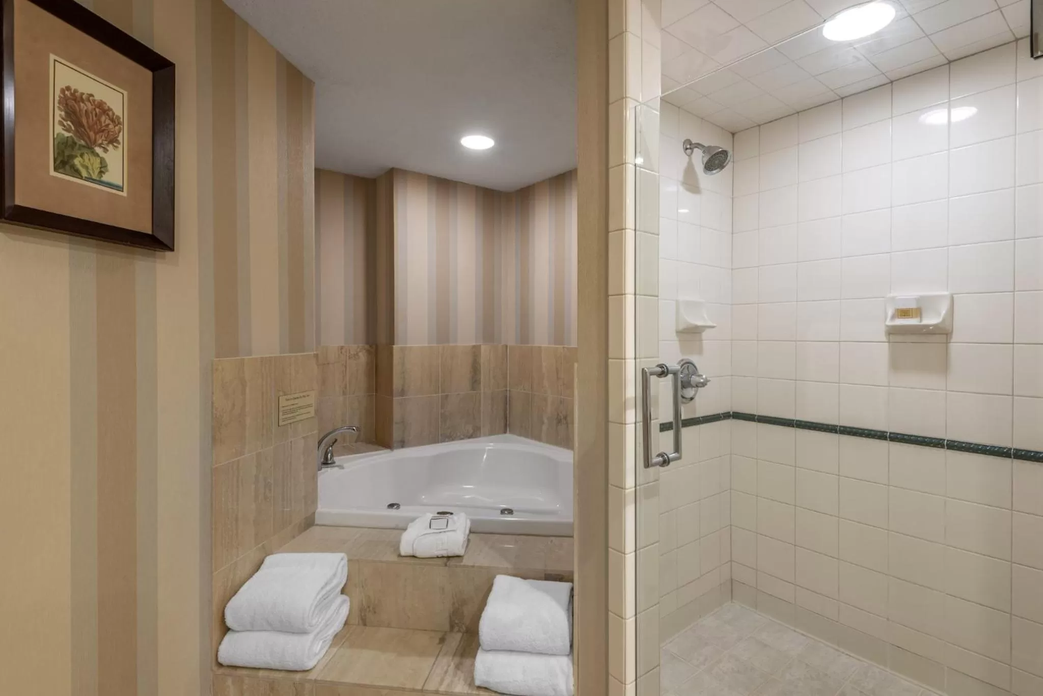 Bathroom in Omni Amelia Island Resort & Spa