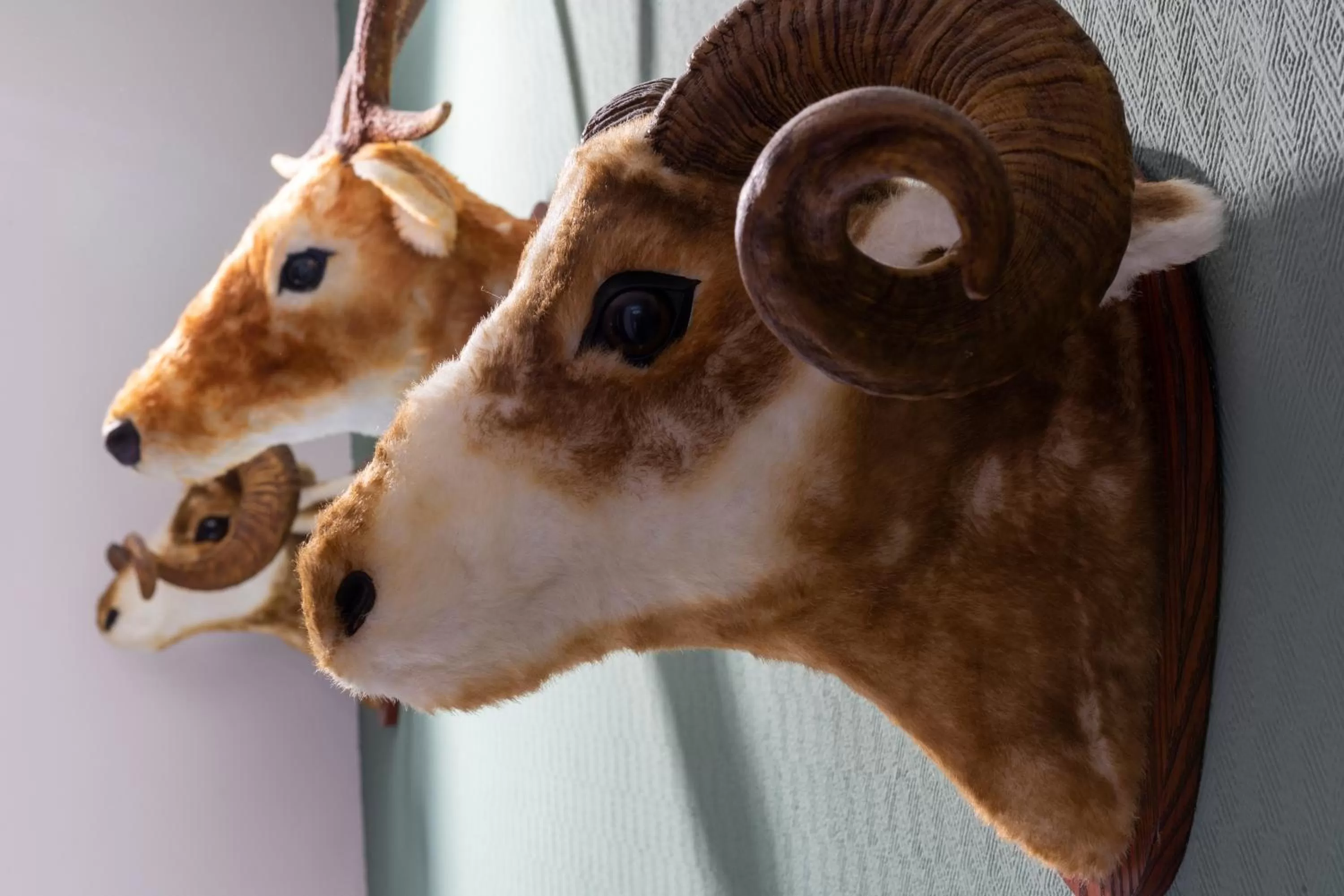 Photo of the whole room in Wyndham Garden Donaueschingen