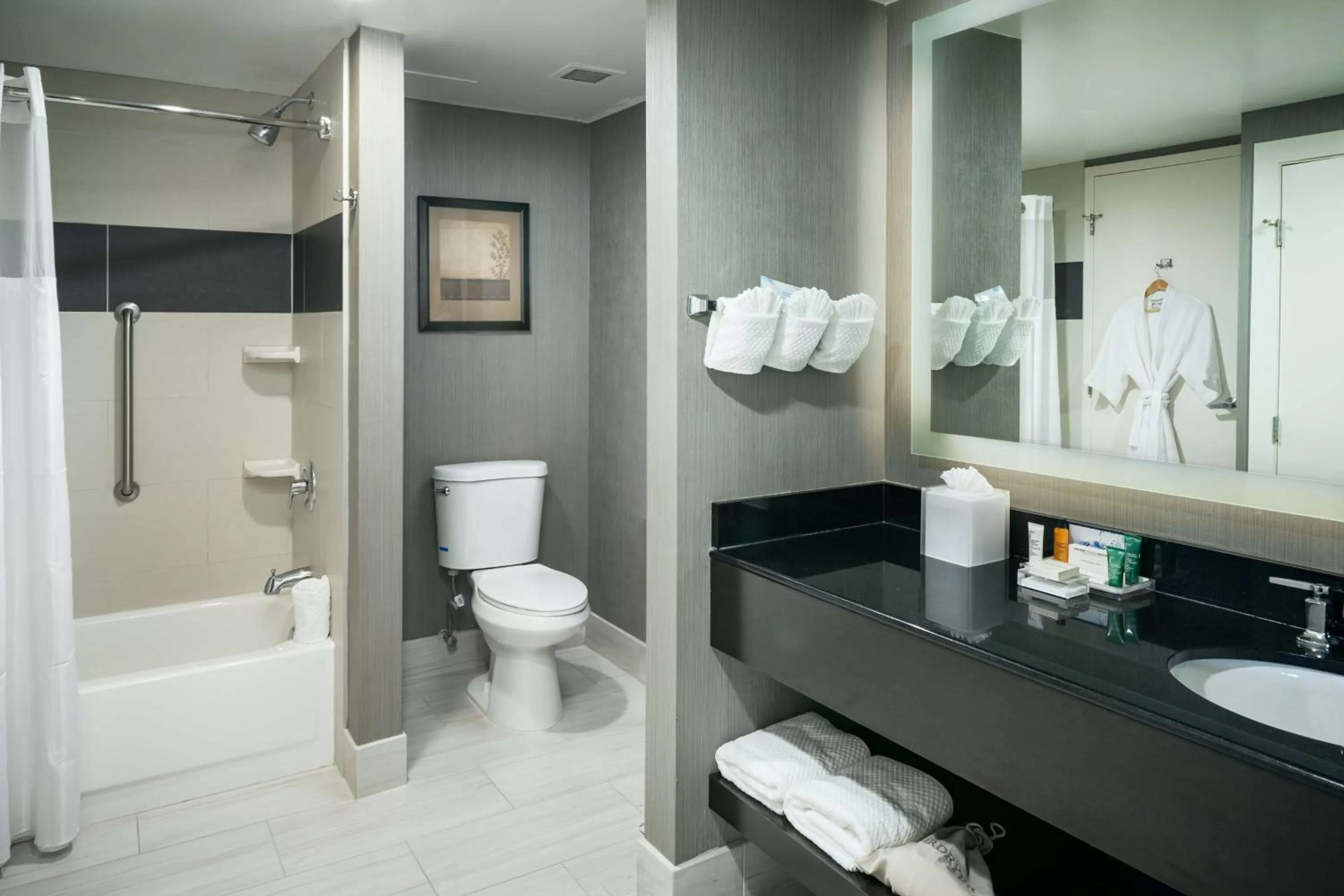 Toilet in Hilton Suites Brentwood