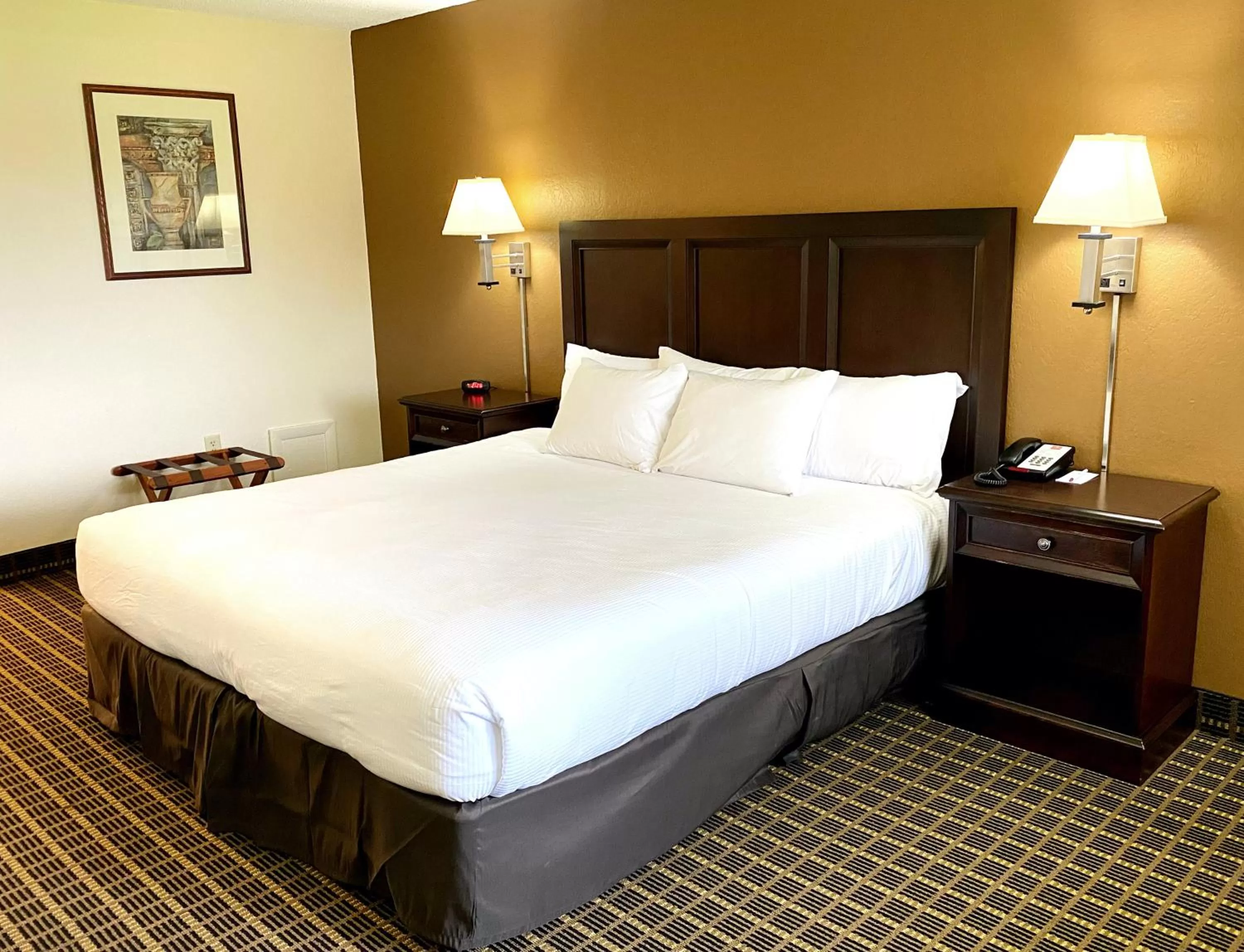 Bed in Roadstar Hotel Zephyrhills